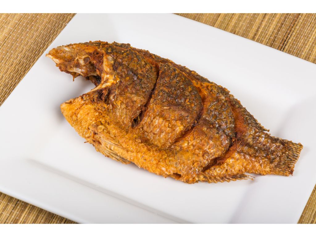 Tilapia.