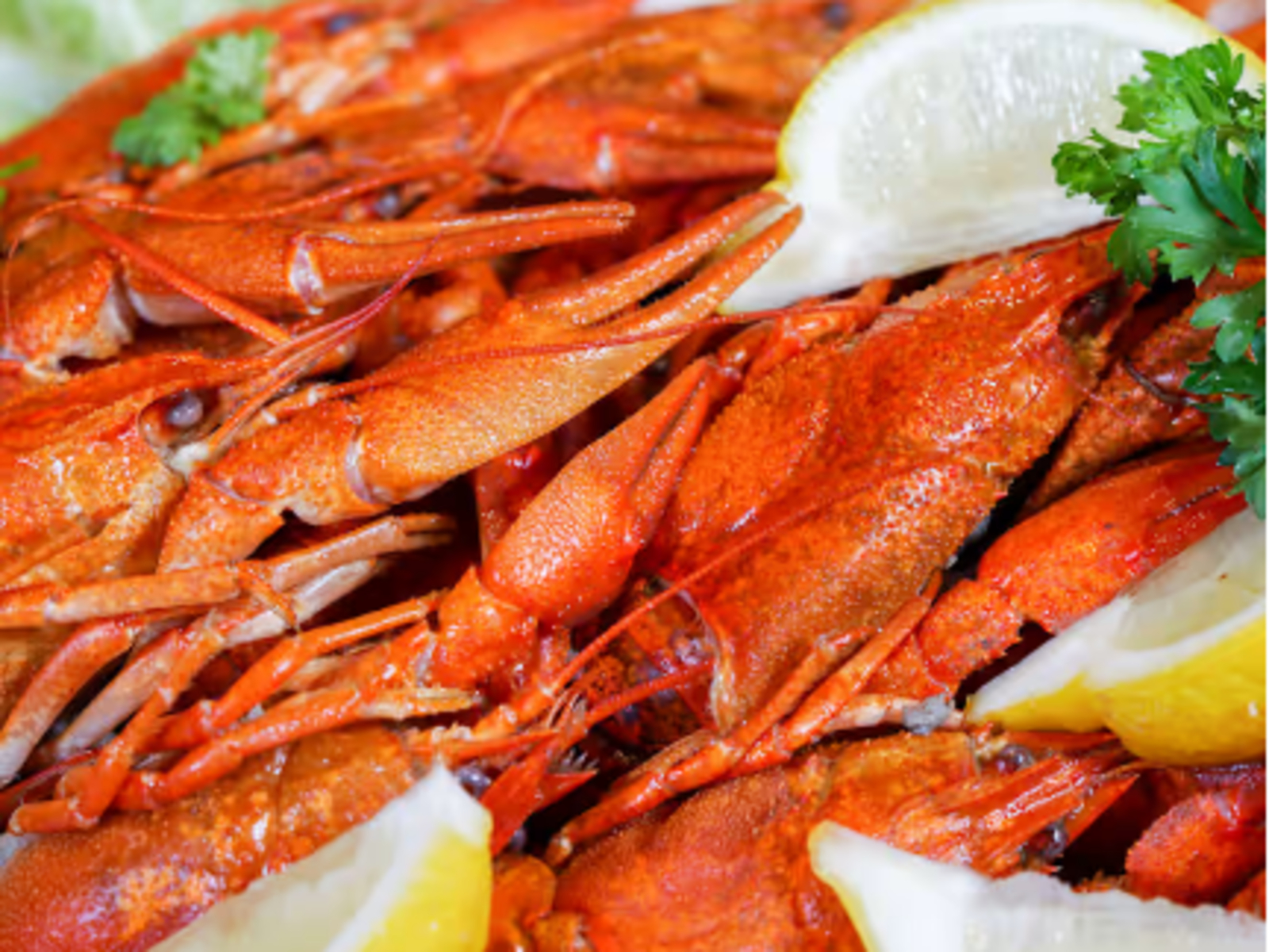 Crawfish (Raki).