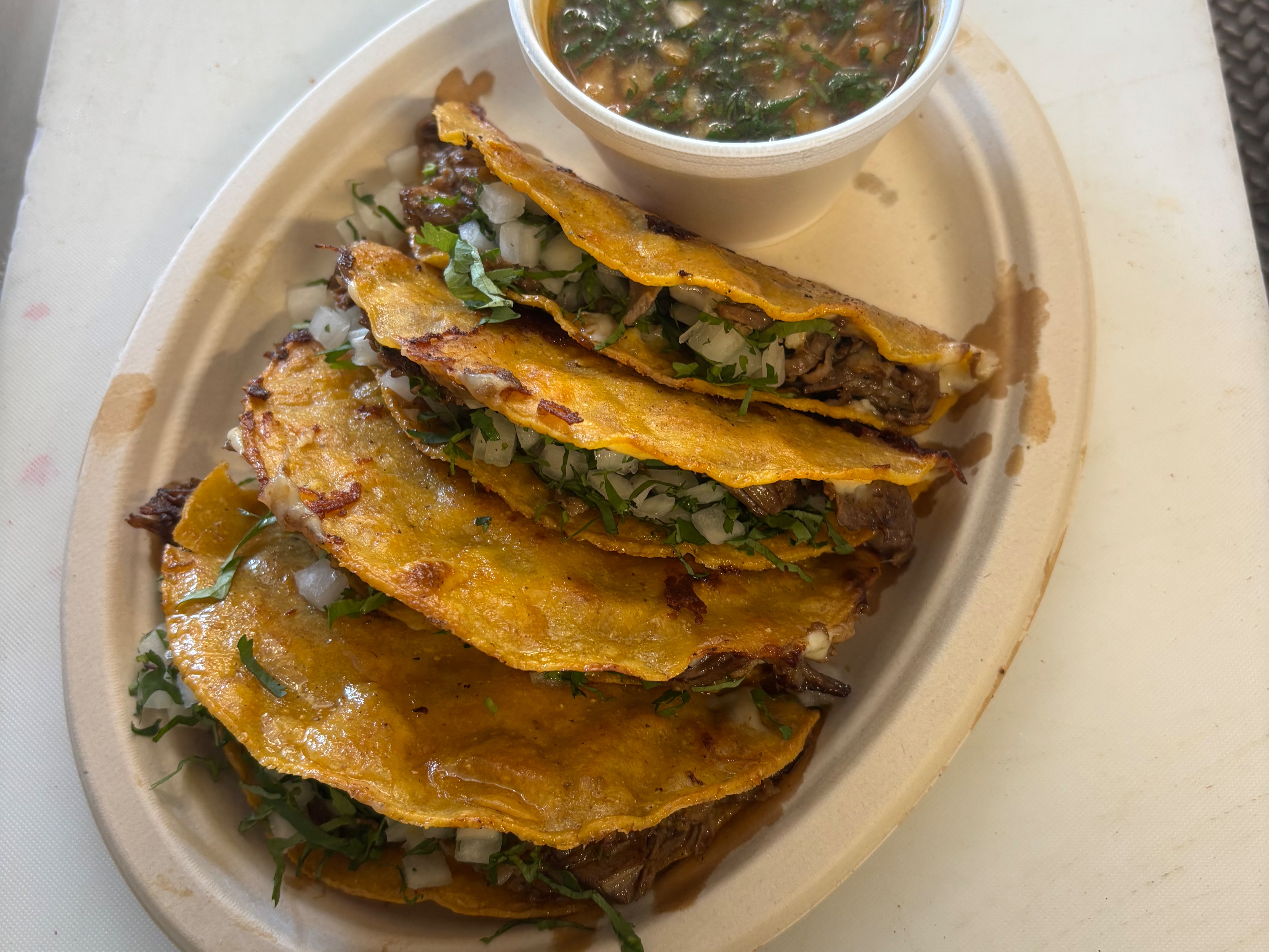 Quesa Birria Tacos (4).