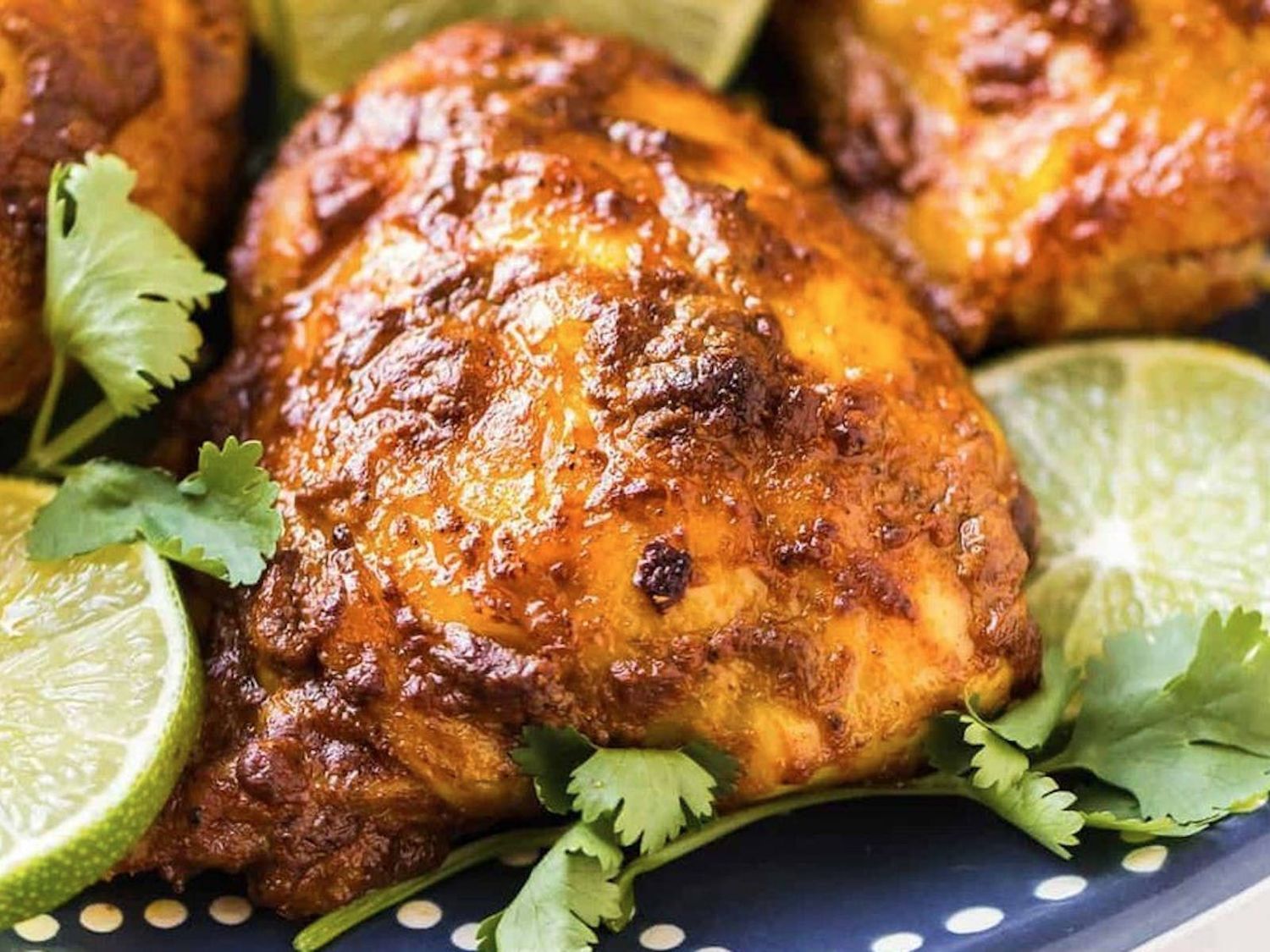 Image-Rajwadi Chicken Kebab