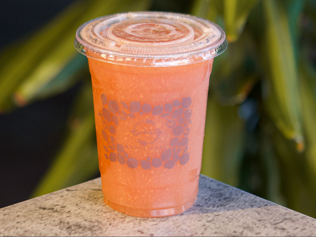 Orange Carrot (J).