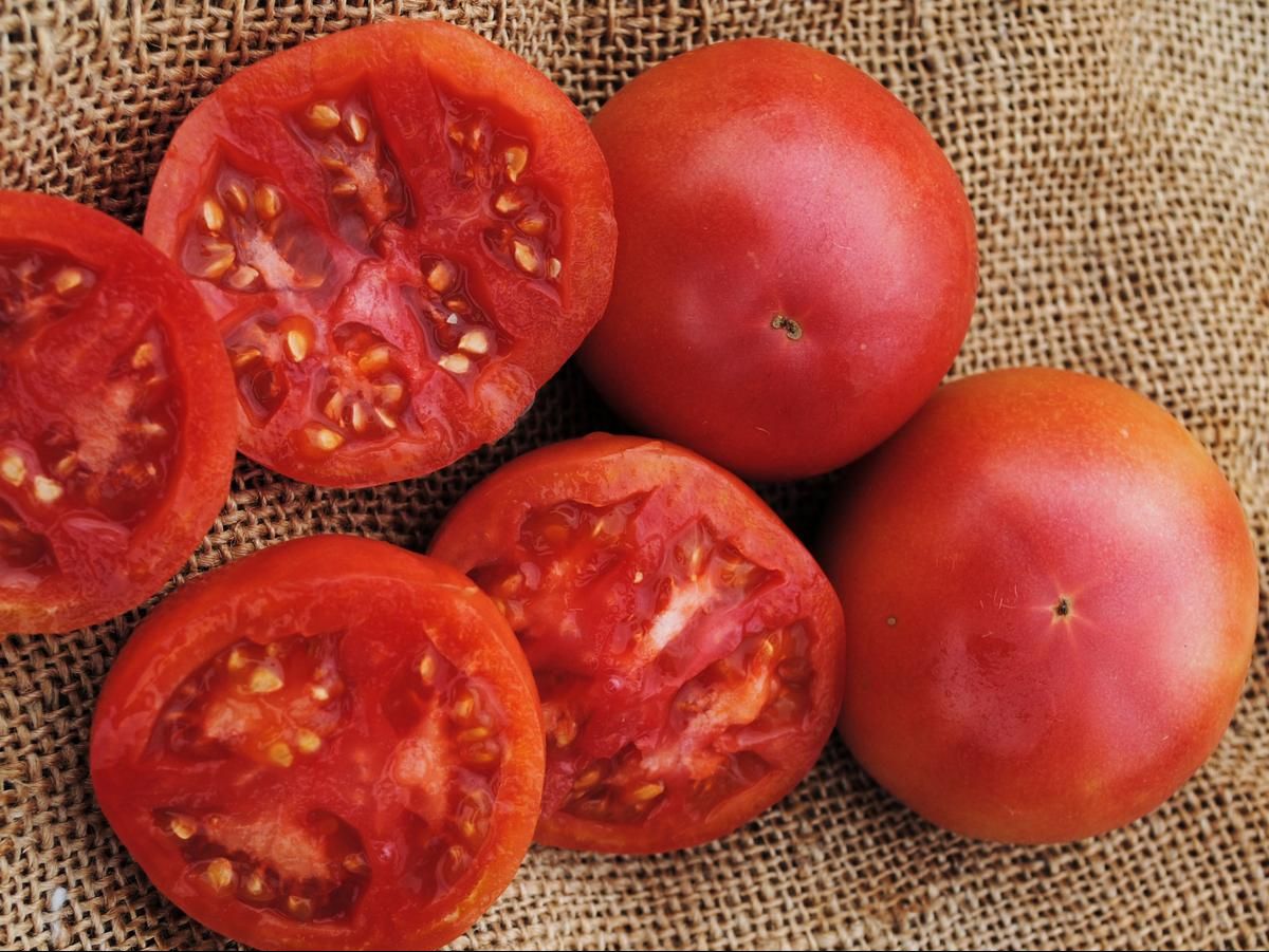 Seed - Tomato, Eva Purple Ball