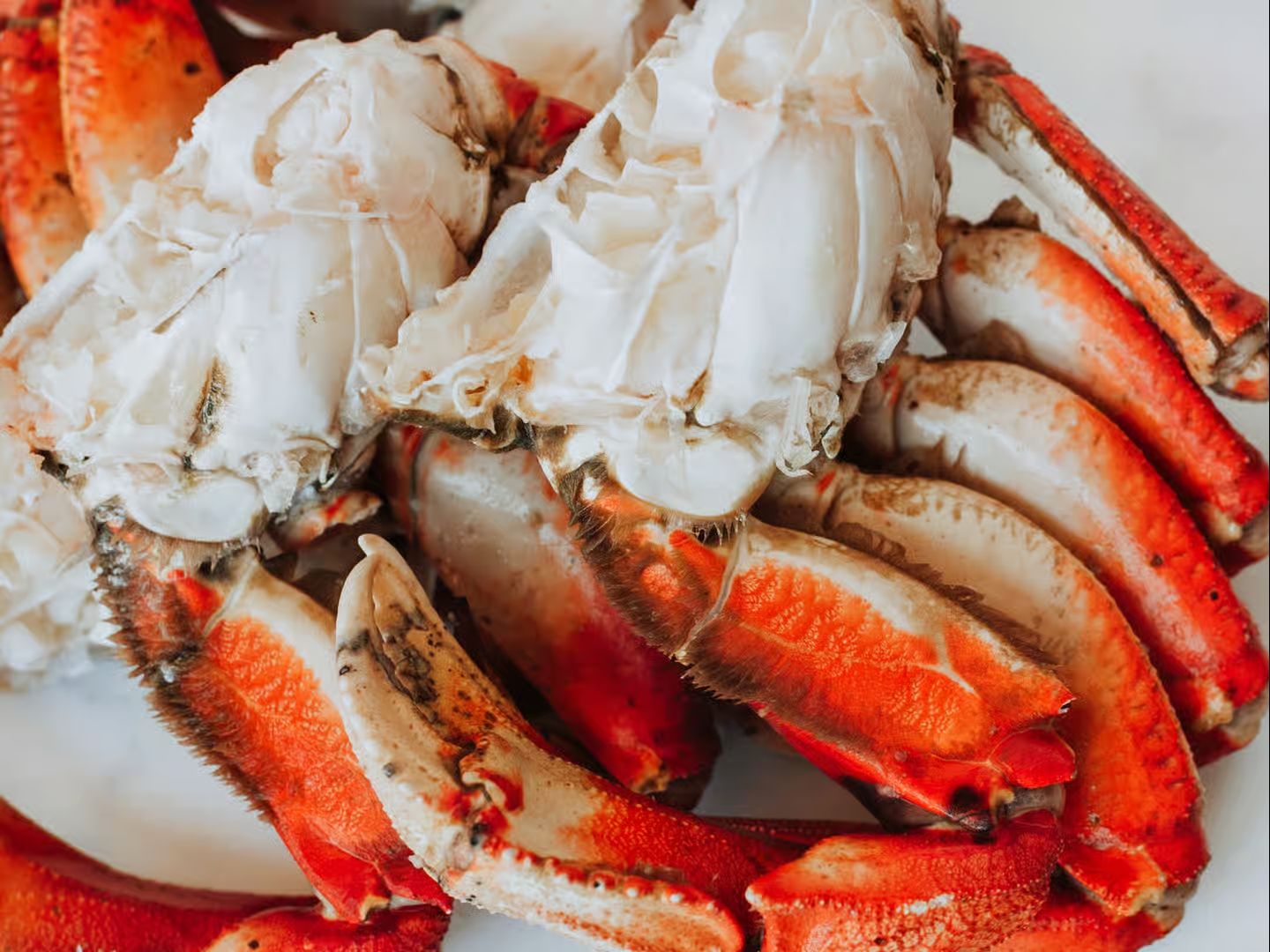Dungeness Crab.