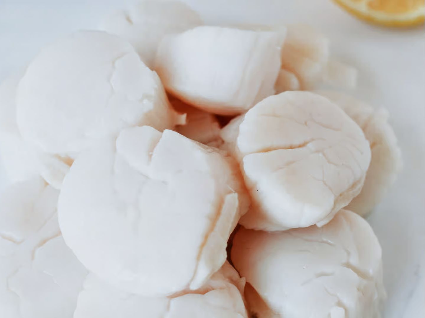 1/2 Lb Scallop.