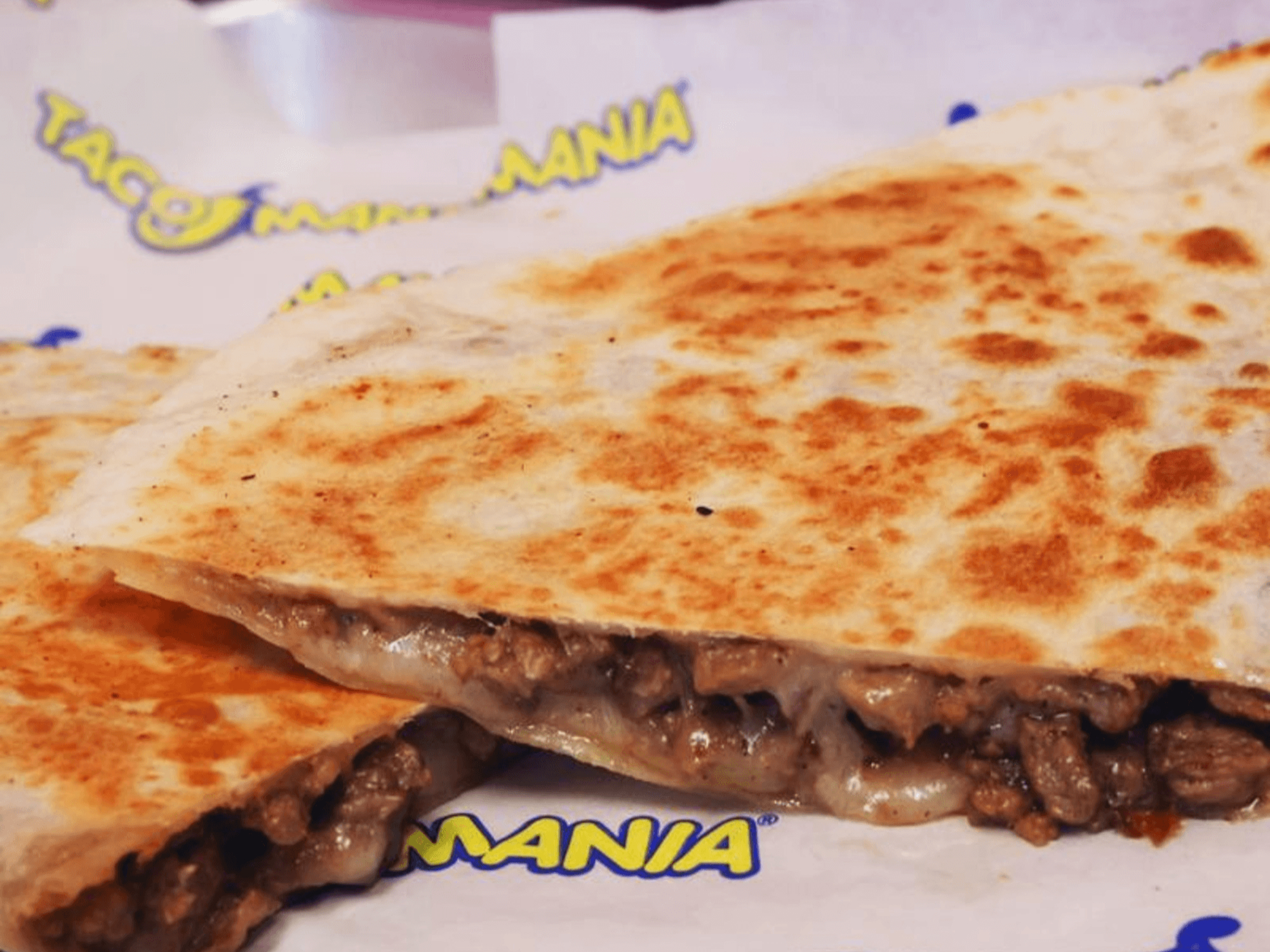 Meat Quesadilla.