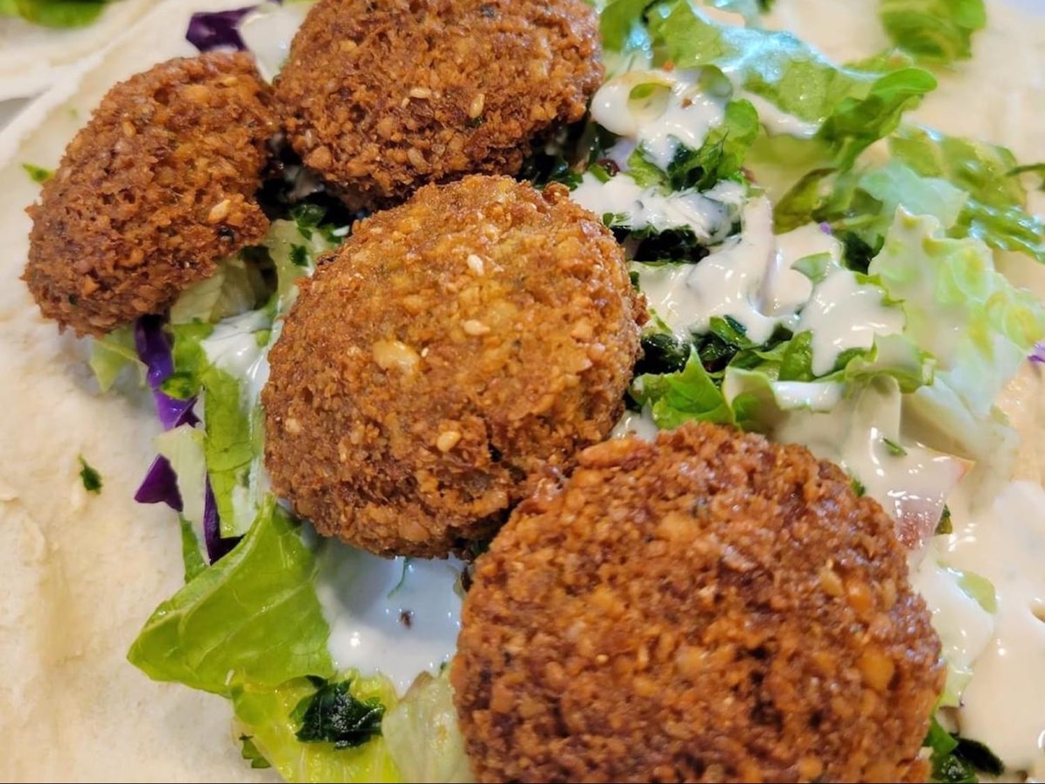 Falafel Sandwich