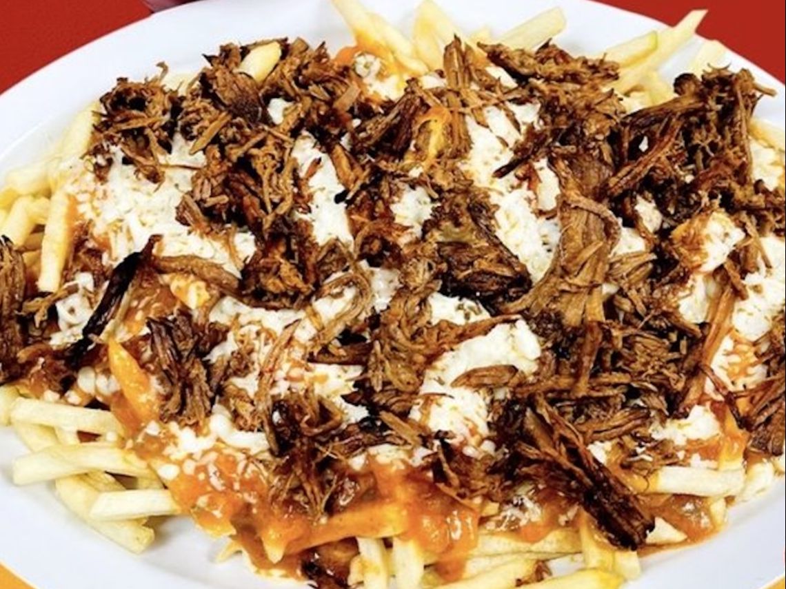 Birria fries LG.