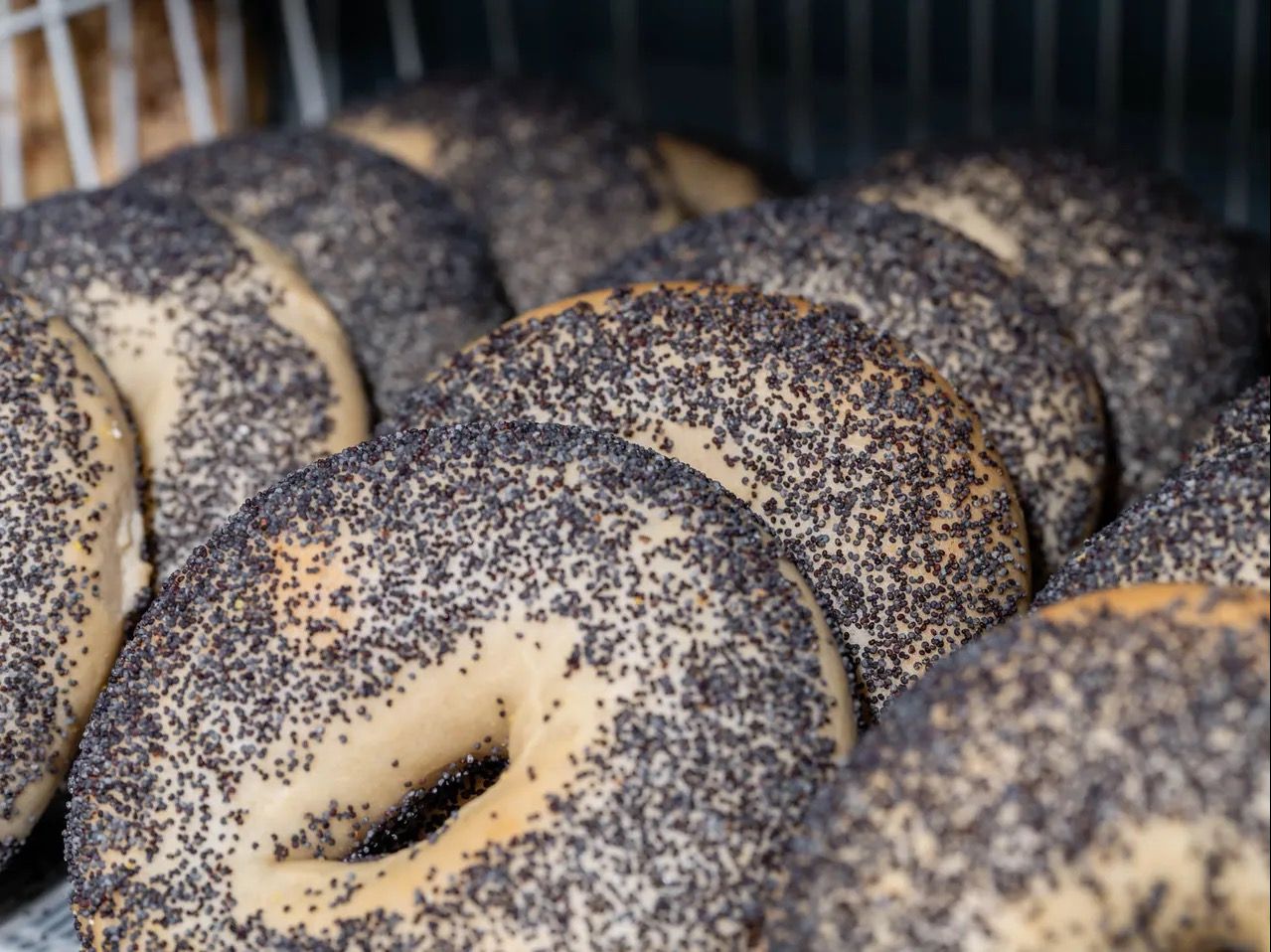 Single Bagel.