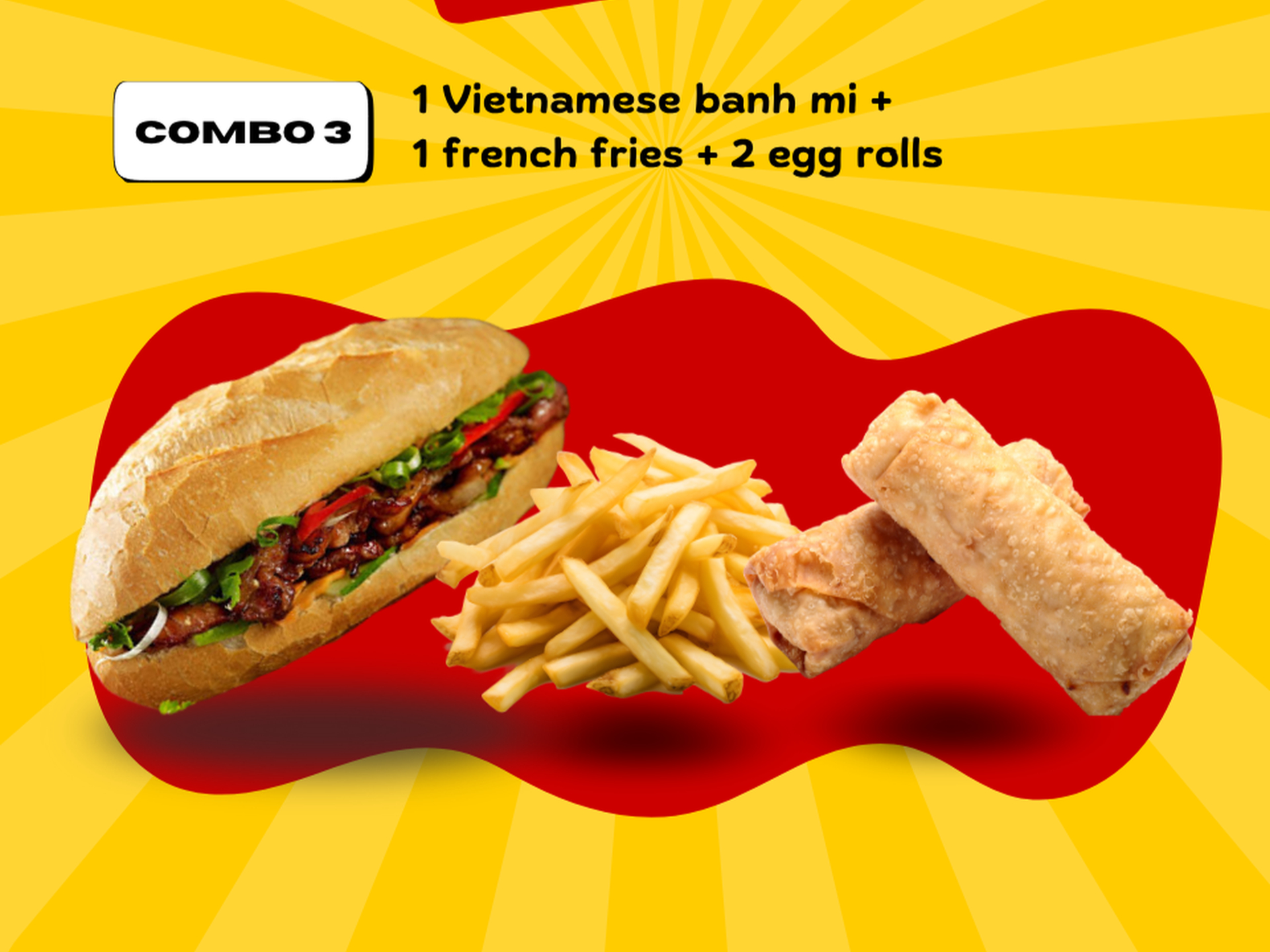 Combo #3 : Vietnamese Banh Mi + 2 Egg Rolls + Fries.