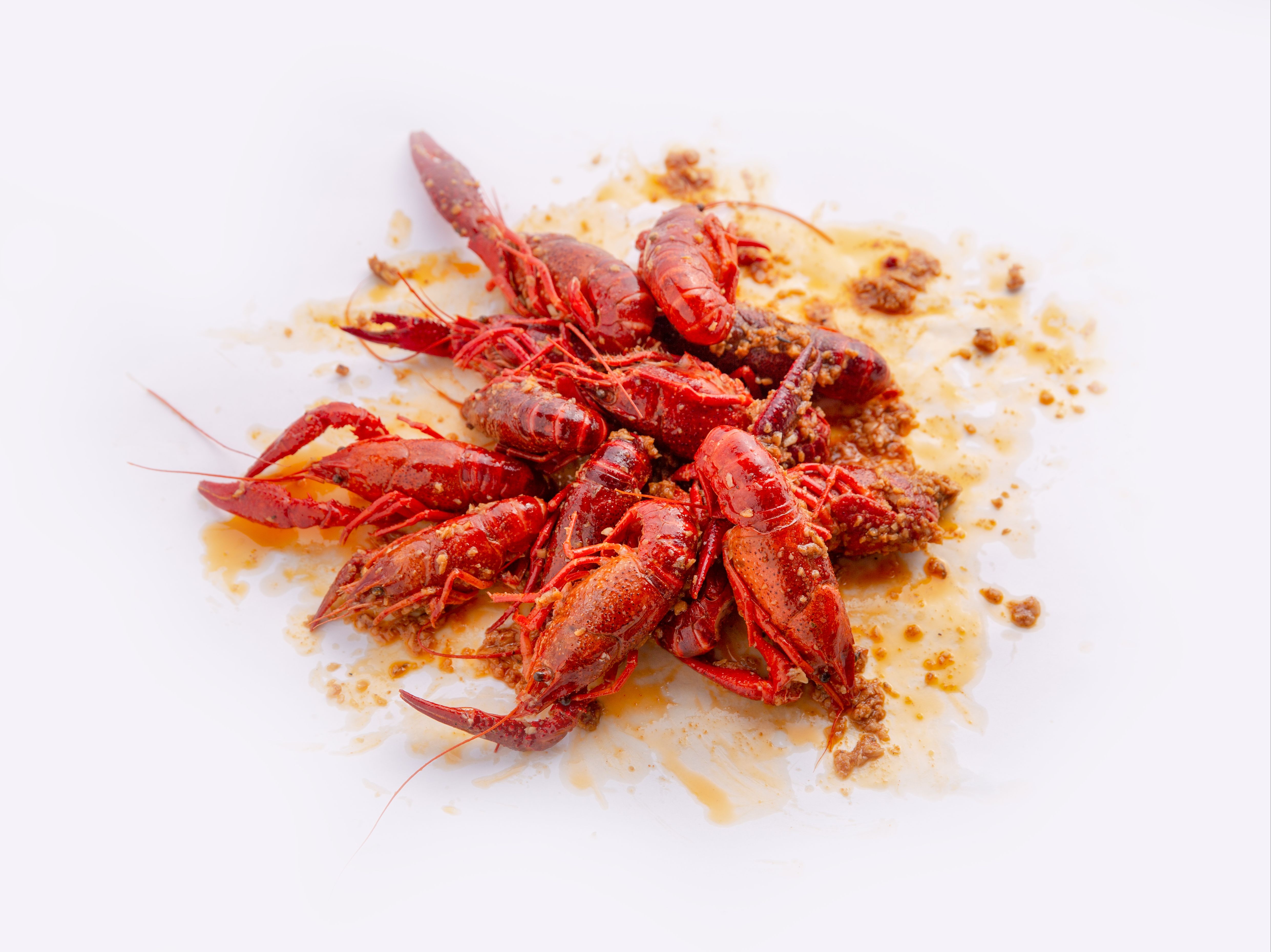 CRAWFISH.