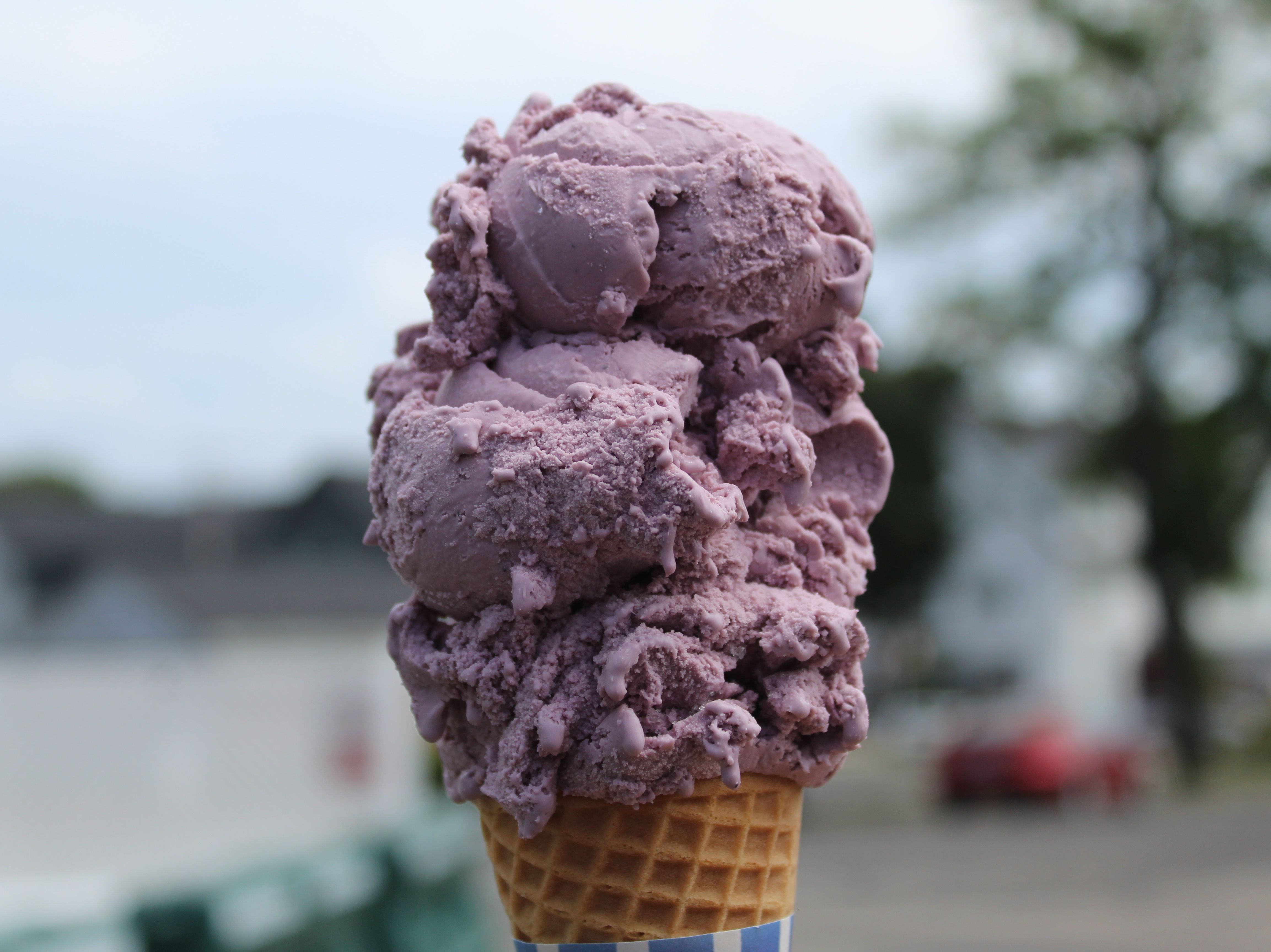 Black Raspberry.