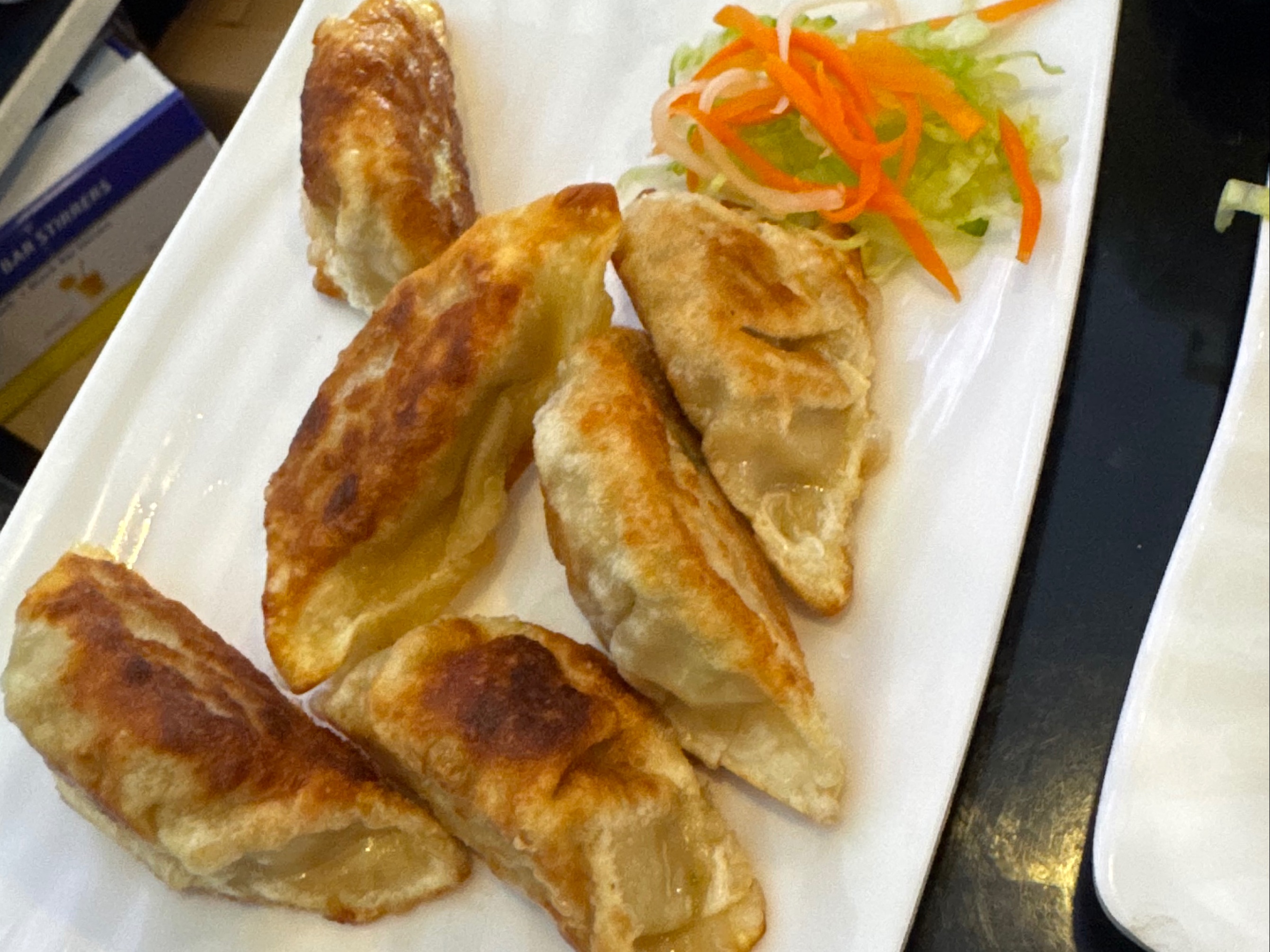 E13. Chicken Dumplings (7).