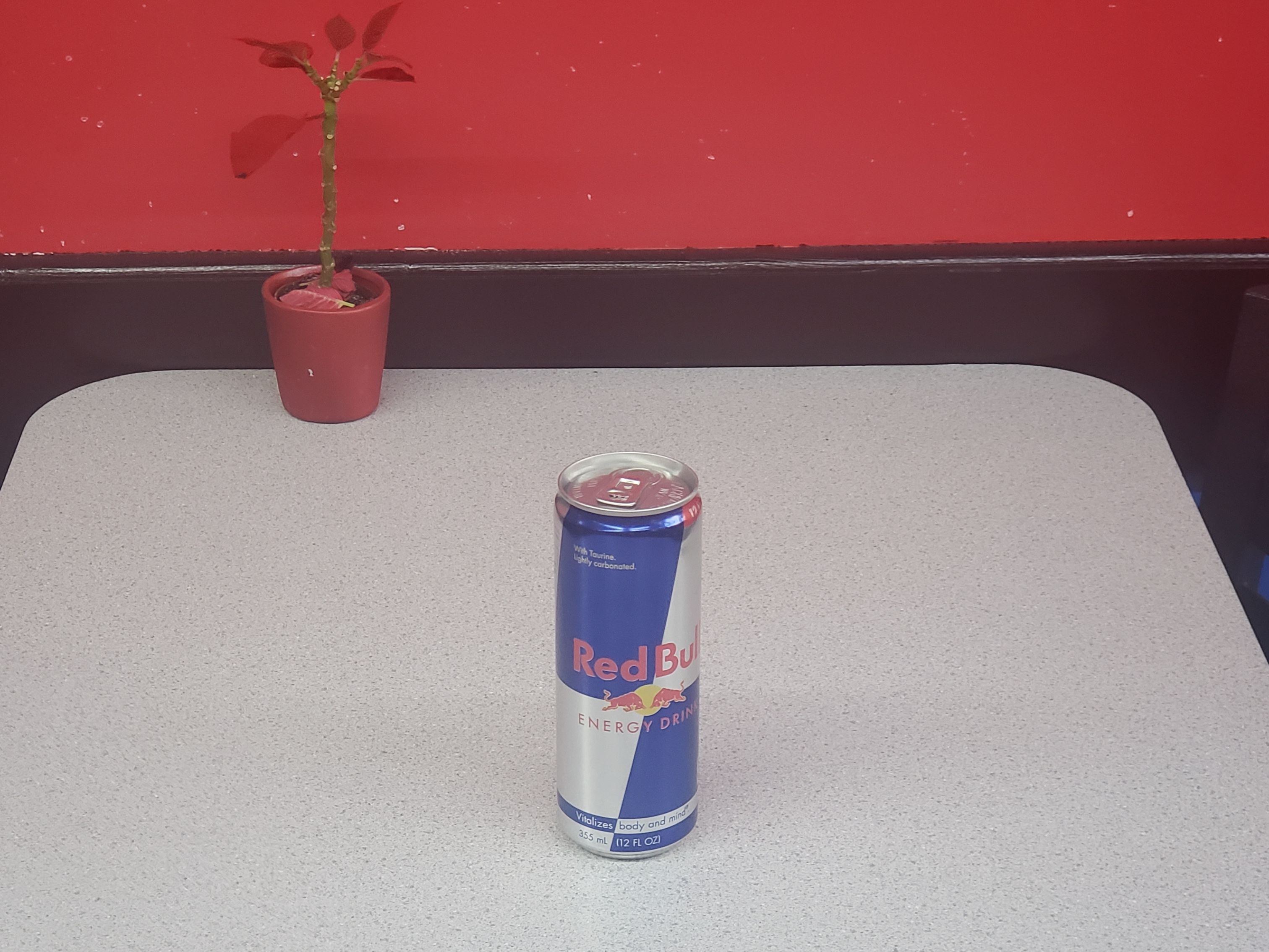 Red Bull 12 oz.