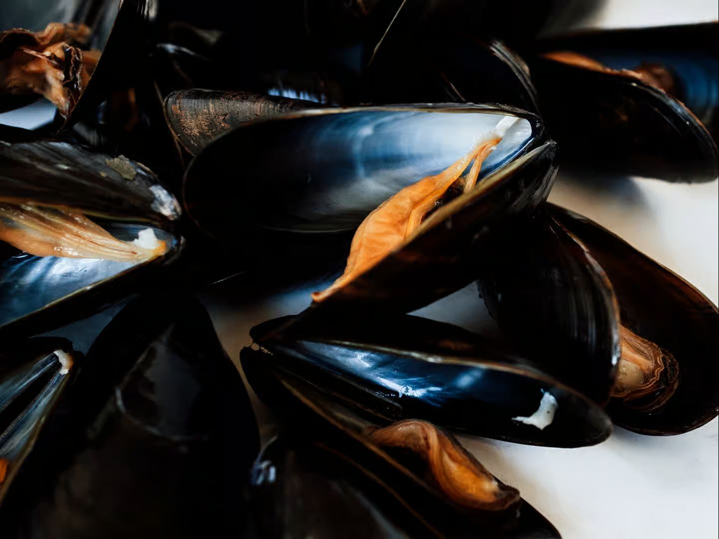 Black Mussels.