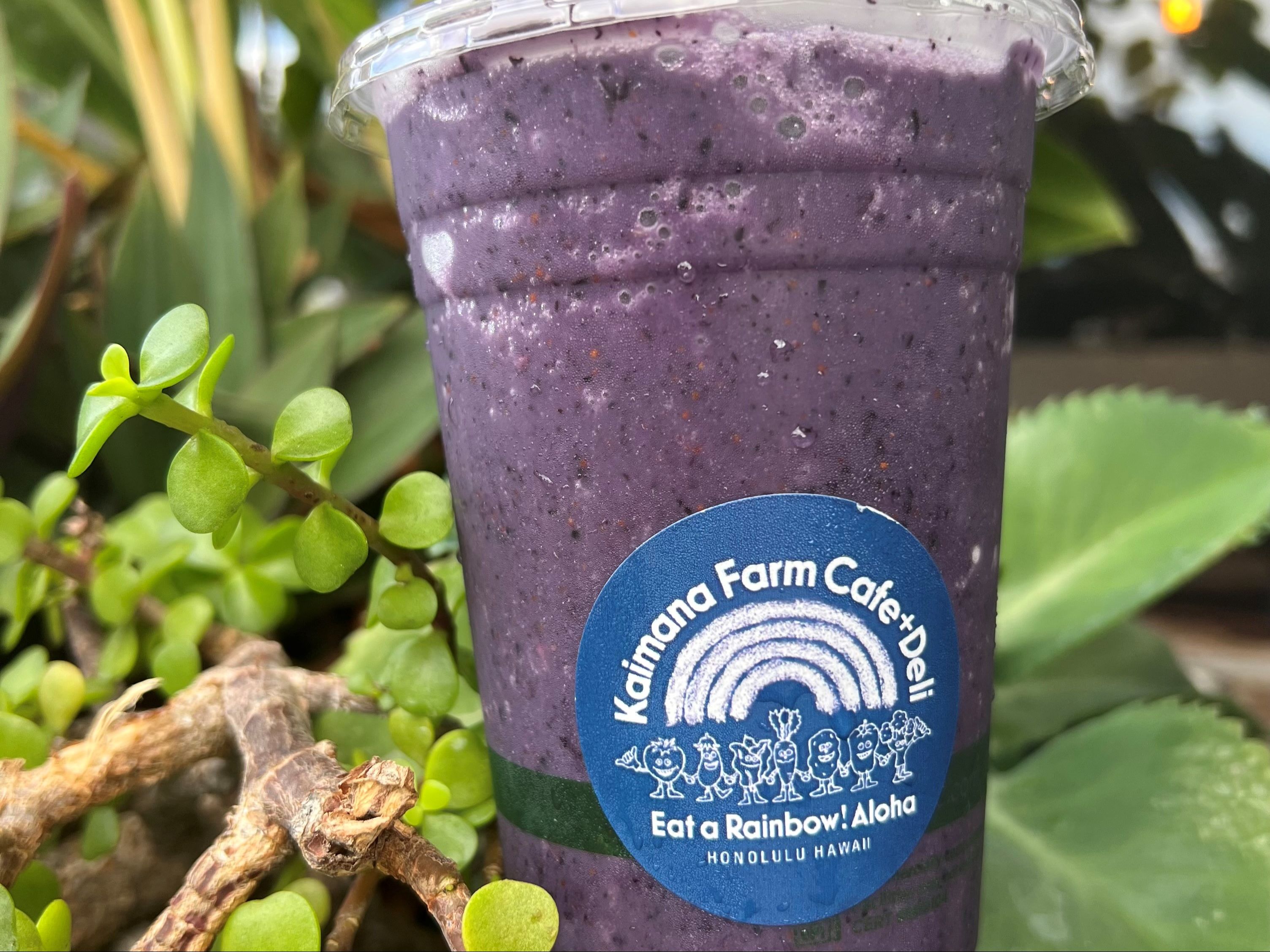 Blueberry Smoothie.