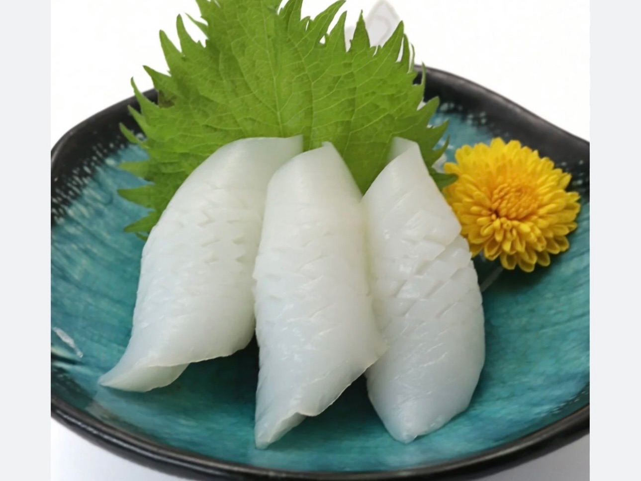 Squid (Ika) *.
