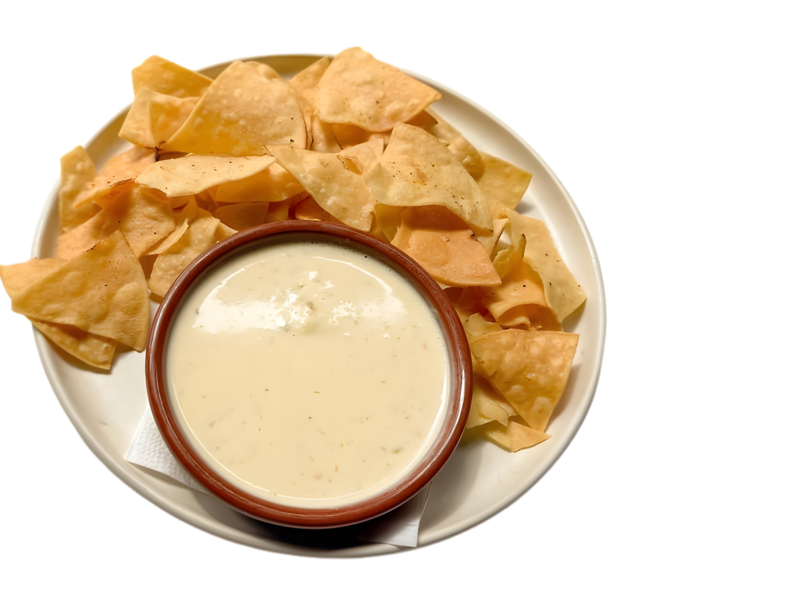 CHEESE DIP PLAIN.