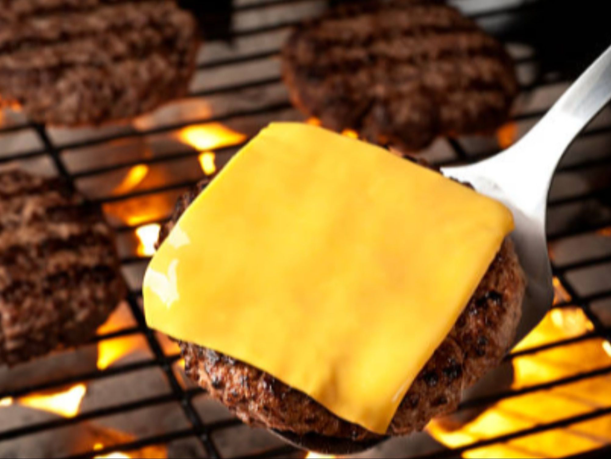 Cheese Burger W/Fries Combo.