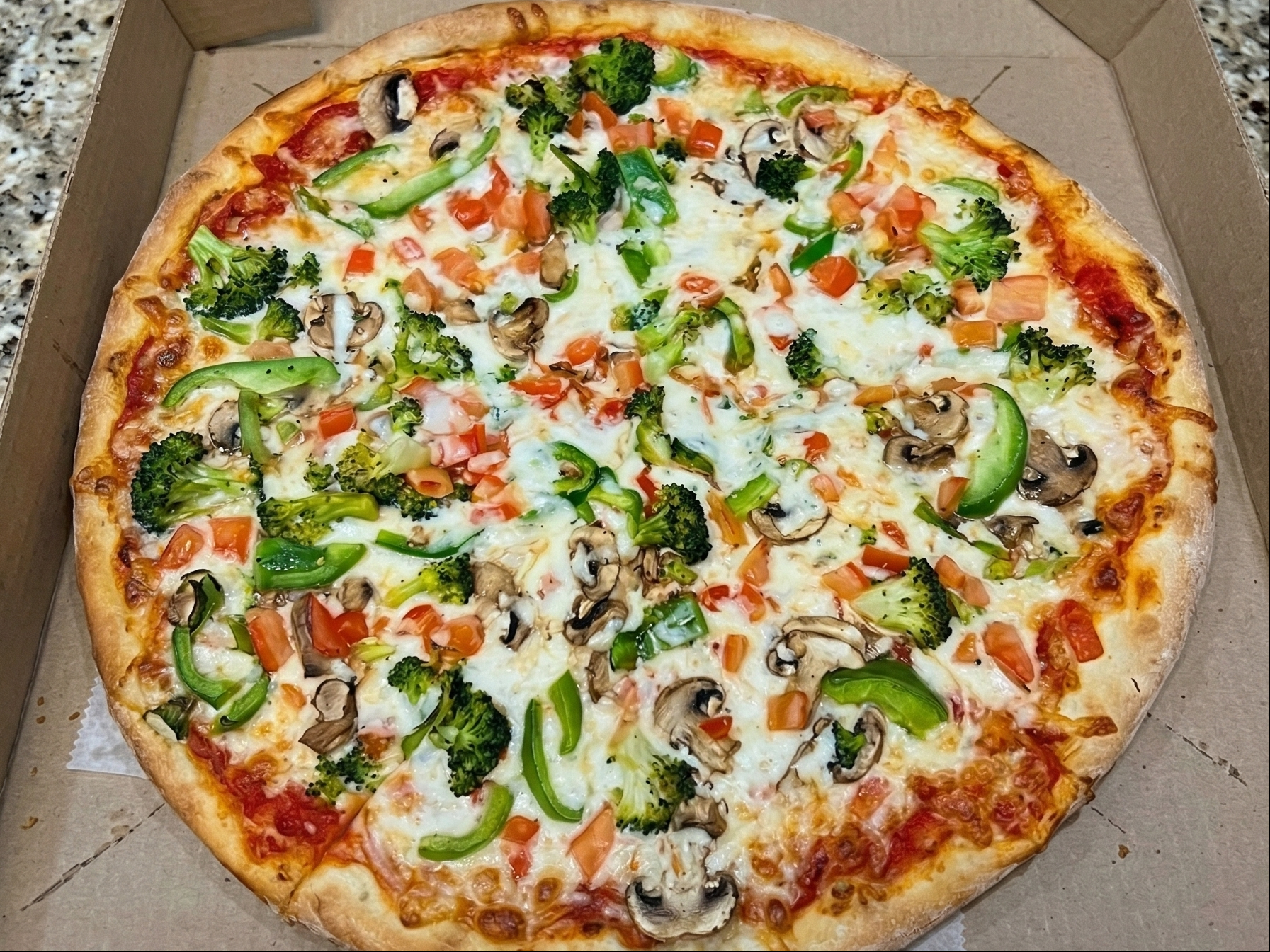 Veggie Special Pizza.