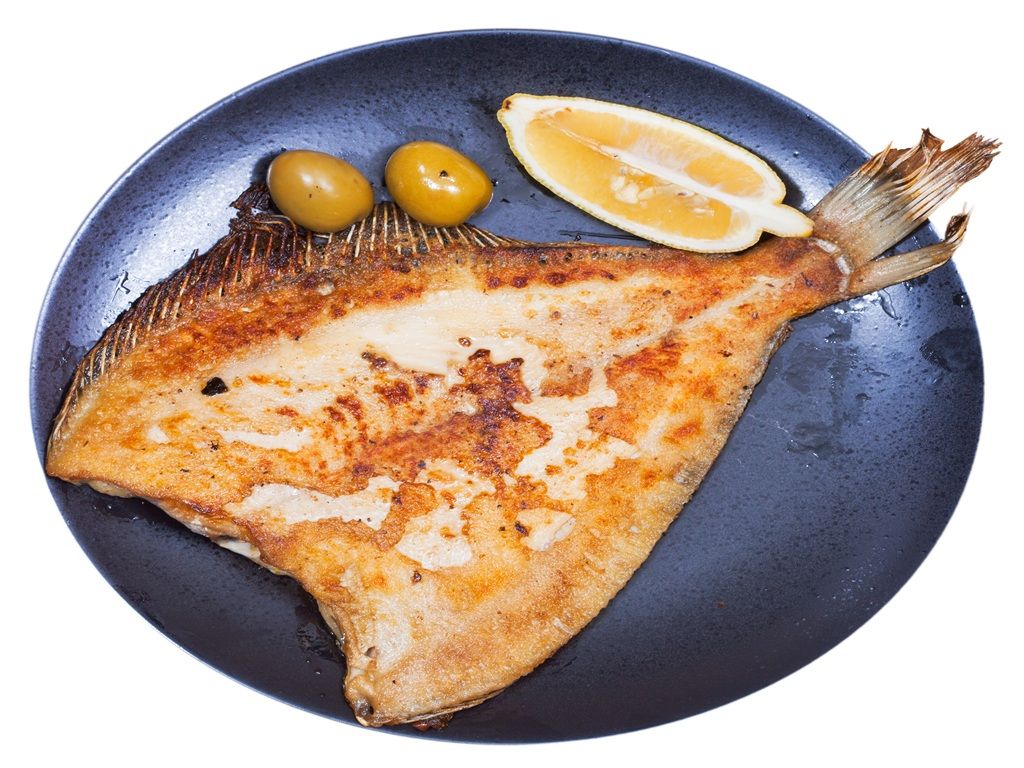 1pc catfish