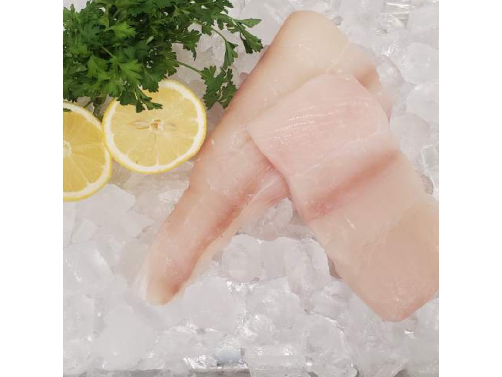 Out of the Blue // Seafood Market // Bayfield, Ontario // Fresh Halibut