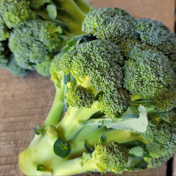 Broccoli Head (3/4 - 1 pound)