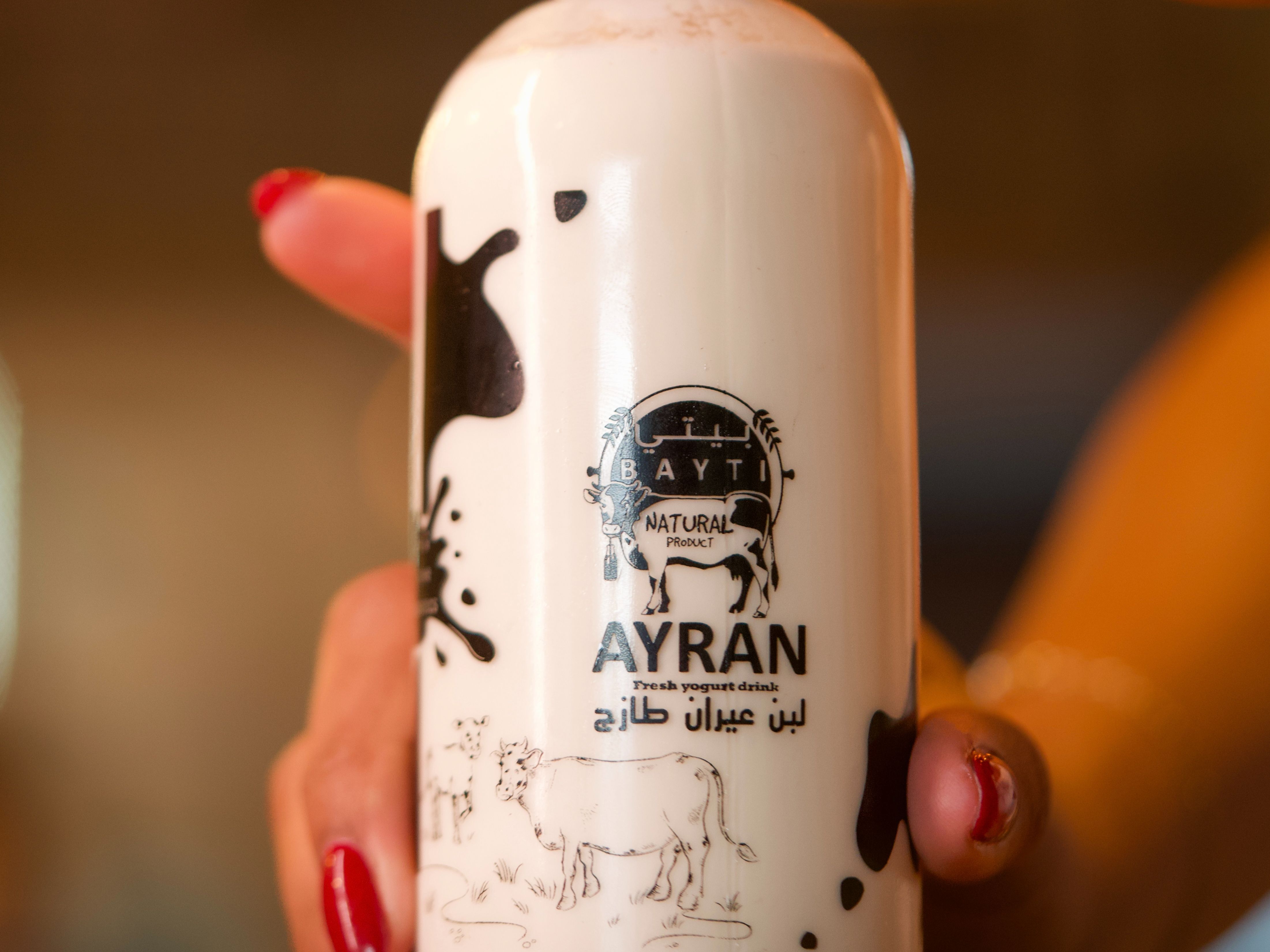 Ayran Blended Yogurt (J).