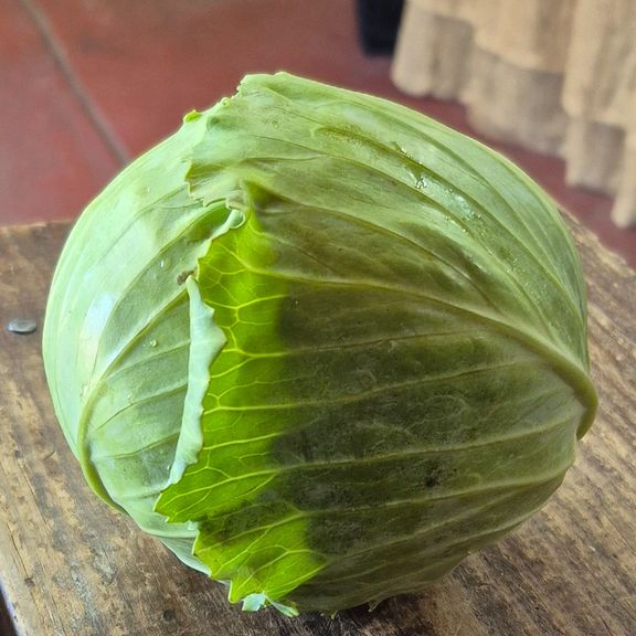 Small Cabbage Head