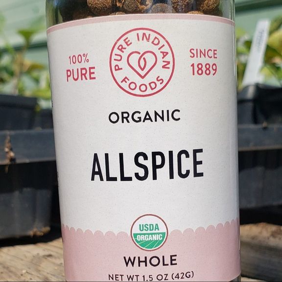 Allspice Organic Whole