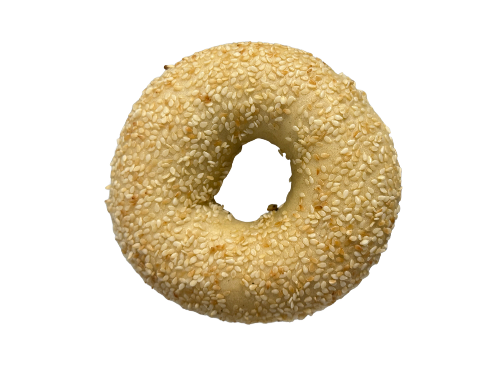 Single Bagel.