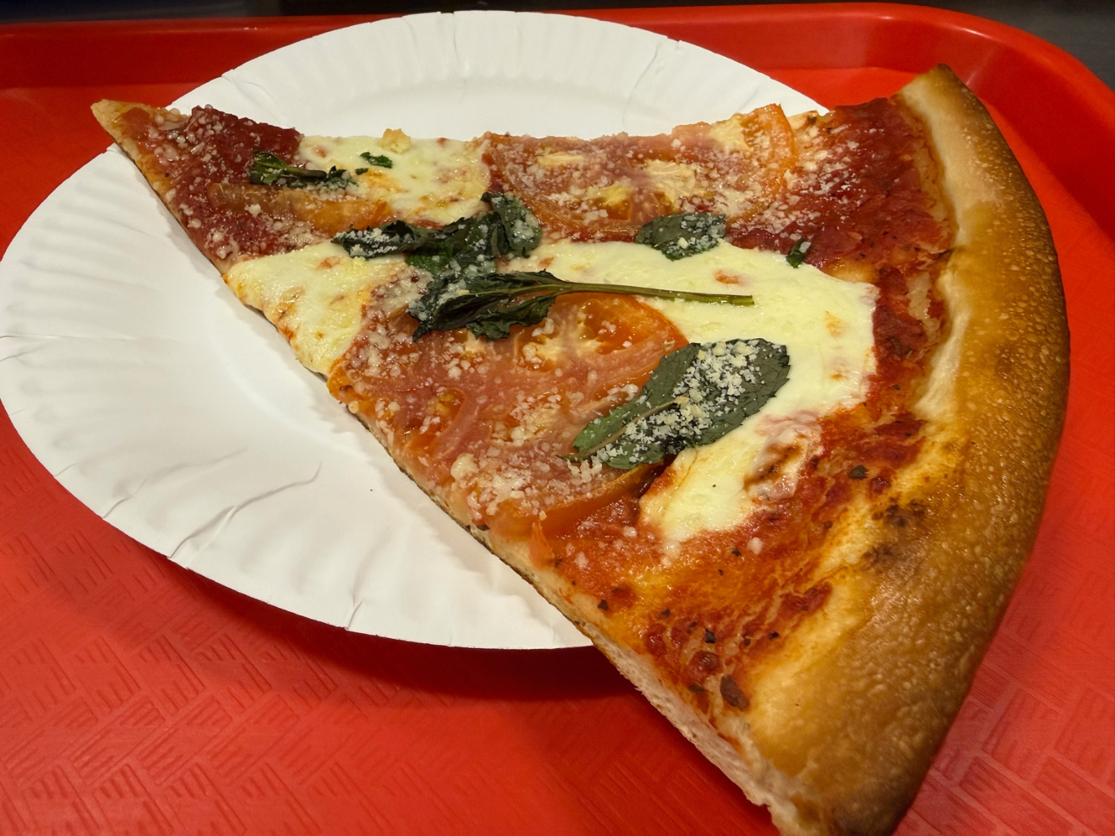 Pizza Slice: Margarita Pizza.