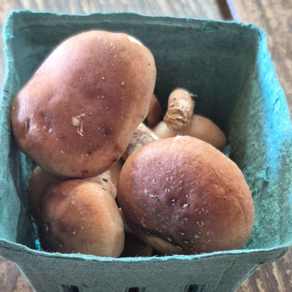 Mushrooms Shiitake (1/4 pound)