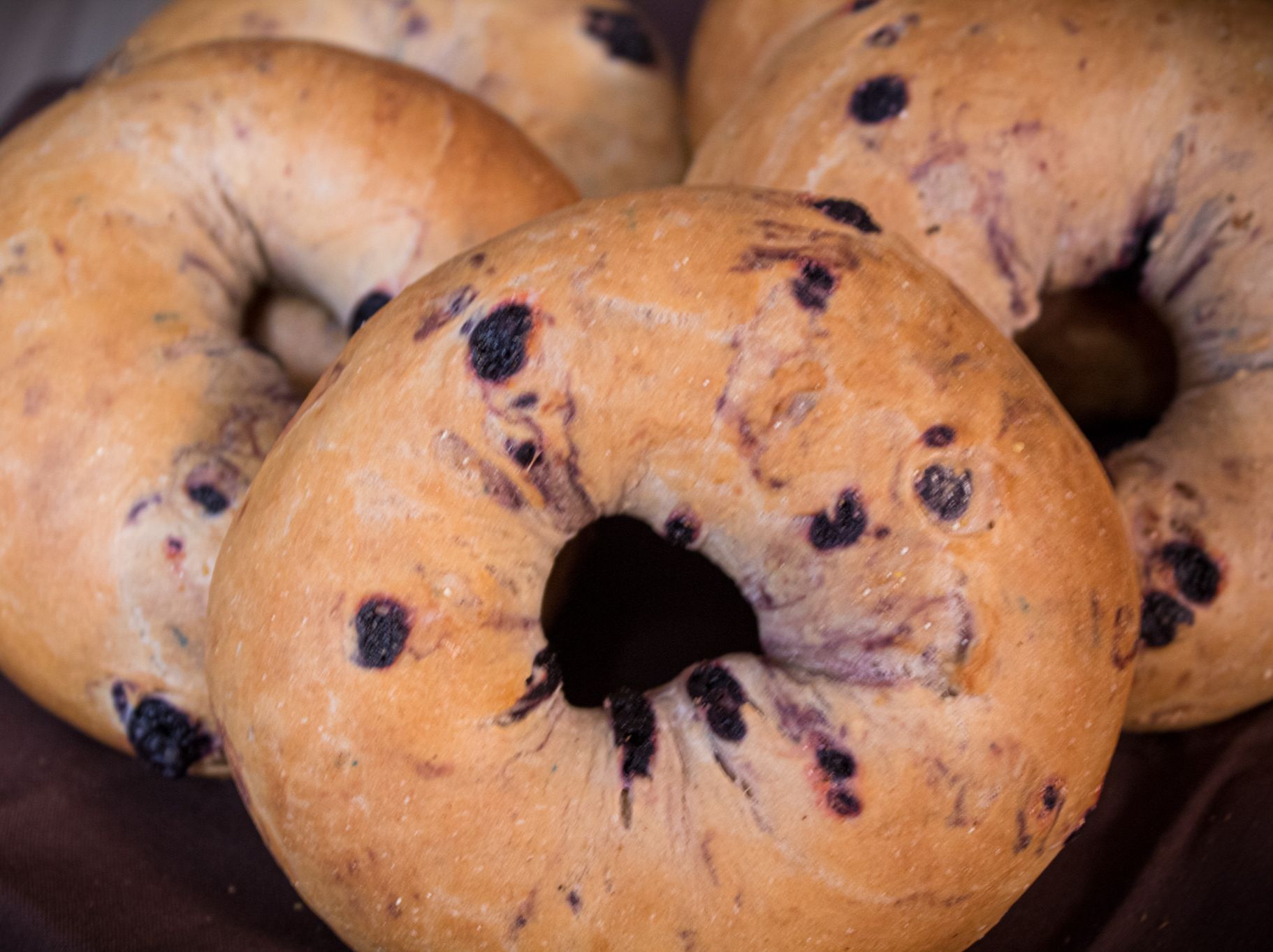 GLUTEN FREE DOZEN (12)+2 TUBS CREAM CHEESE.