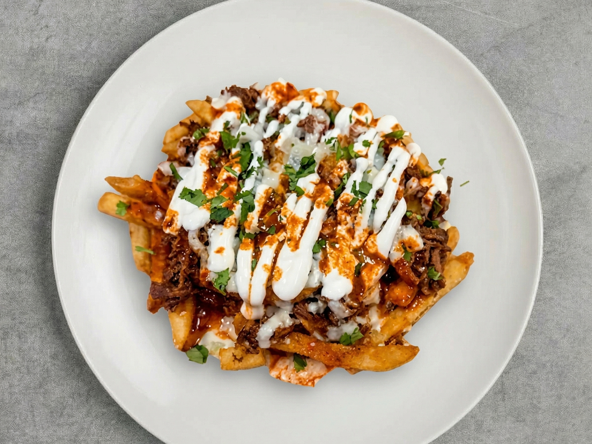 Birria Fries.