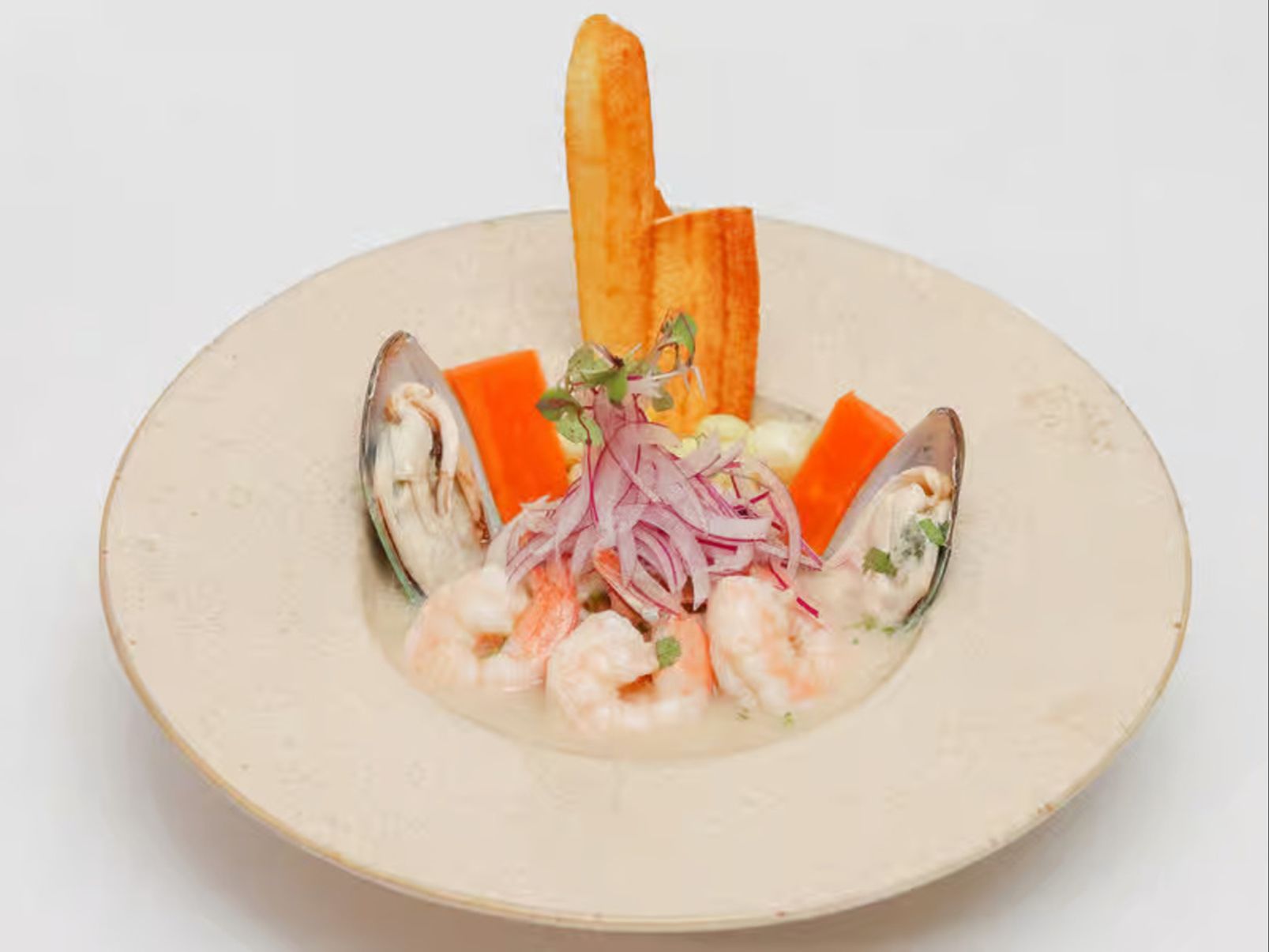 Ceviche Mixto