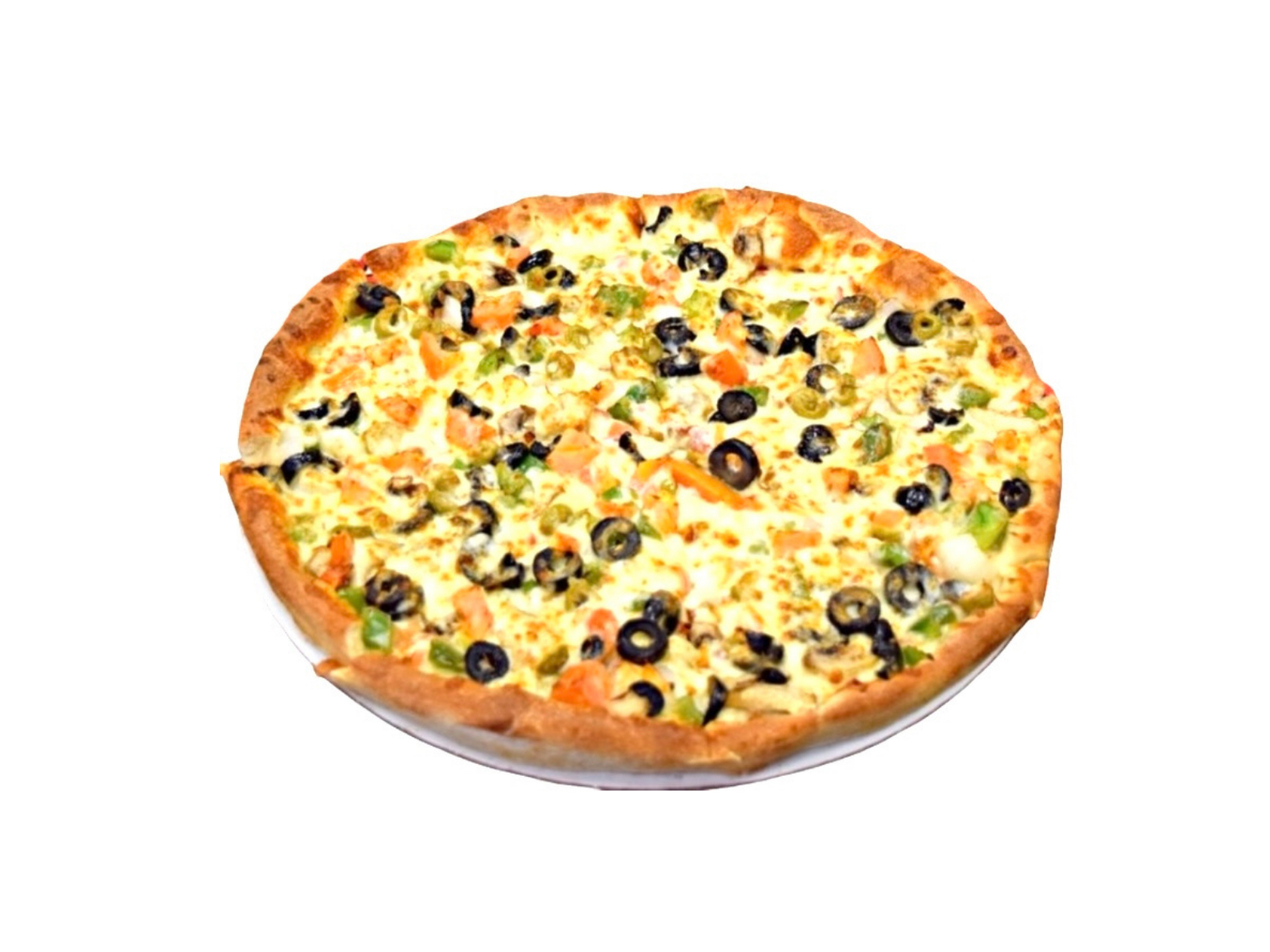 VEGETARIAN 14'.
