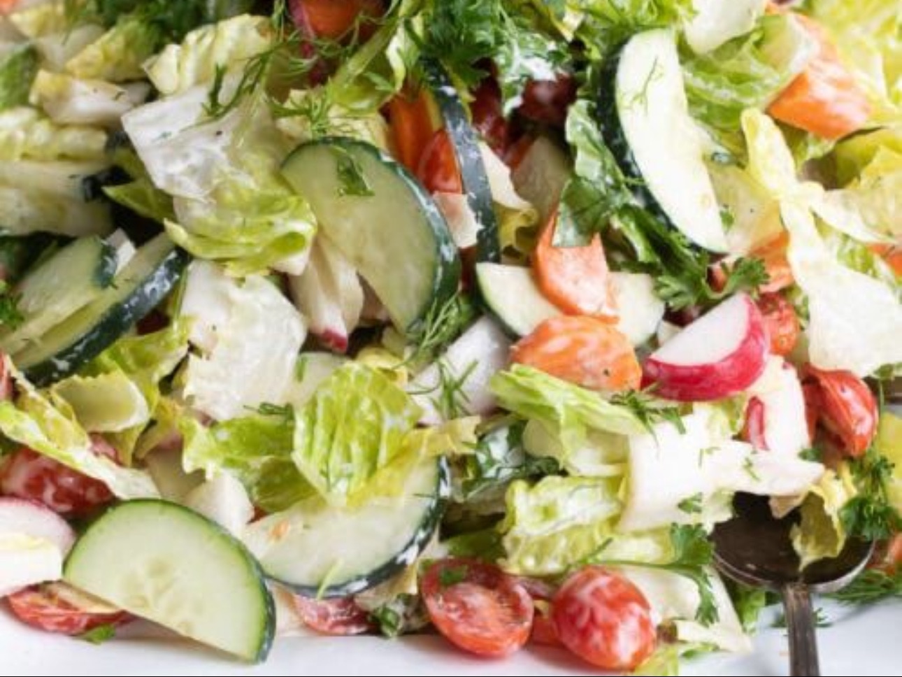 Garden Salad Vegan.