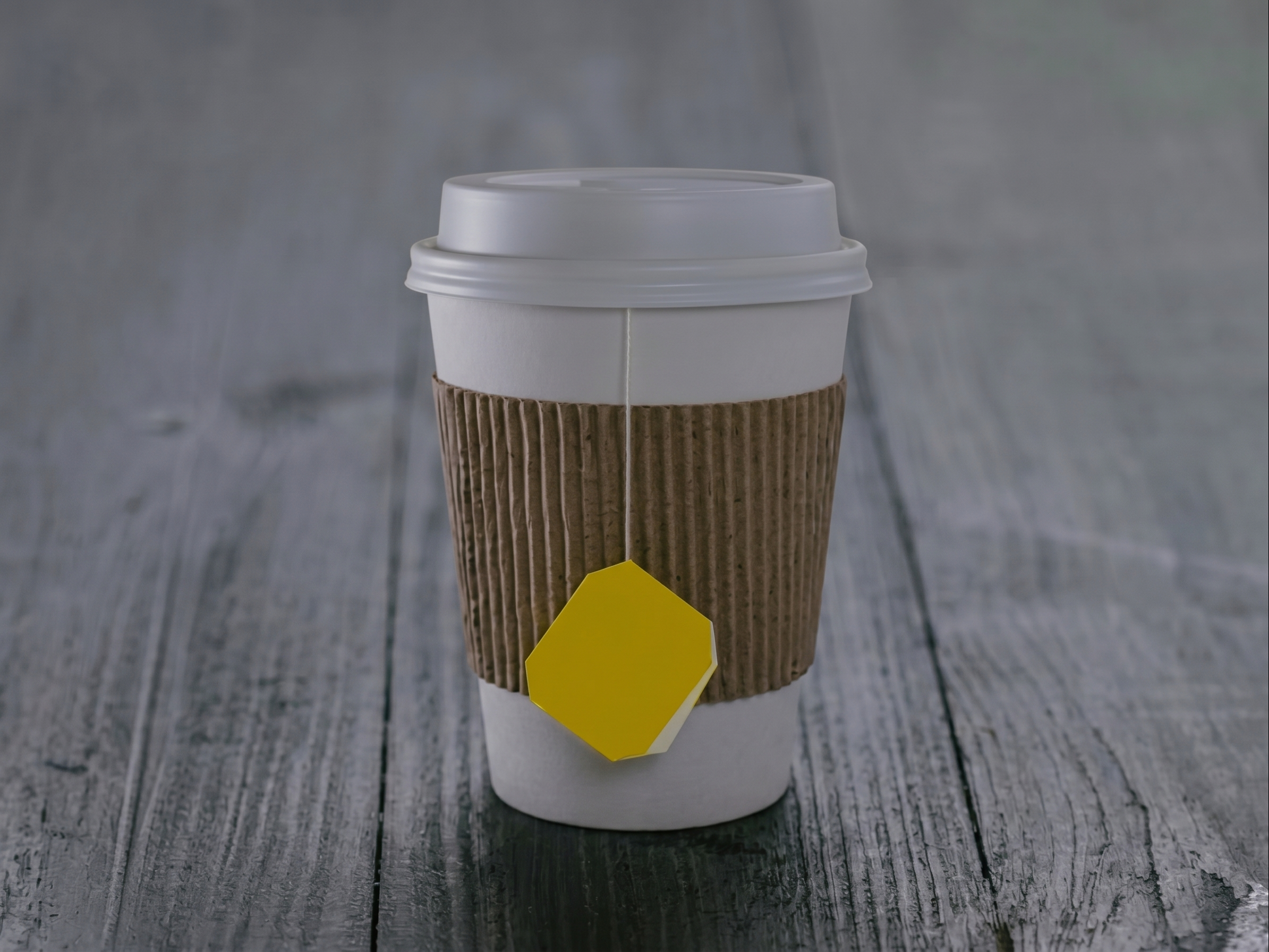 Lg Hot Tea - 20oz