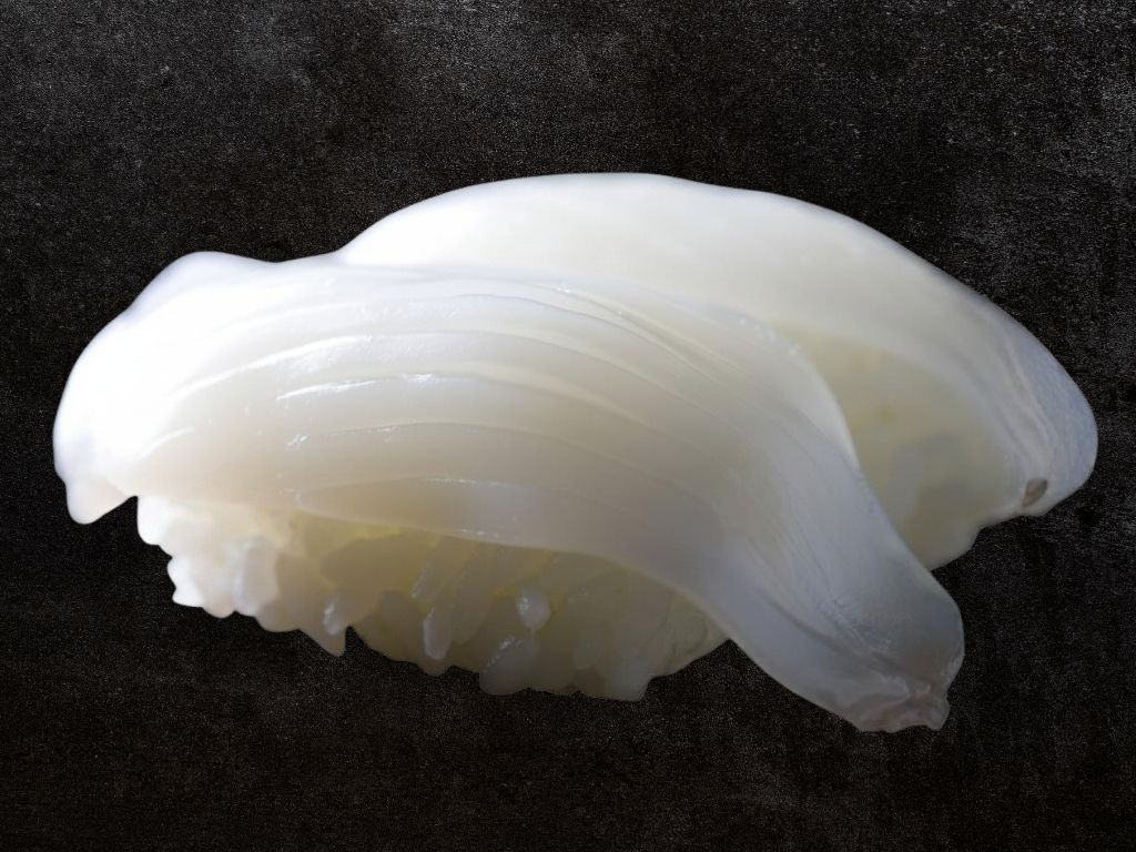 Ika - Squid Nigiri*.