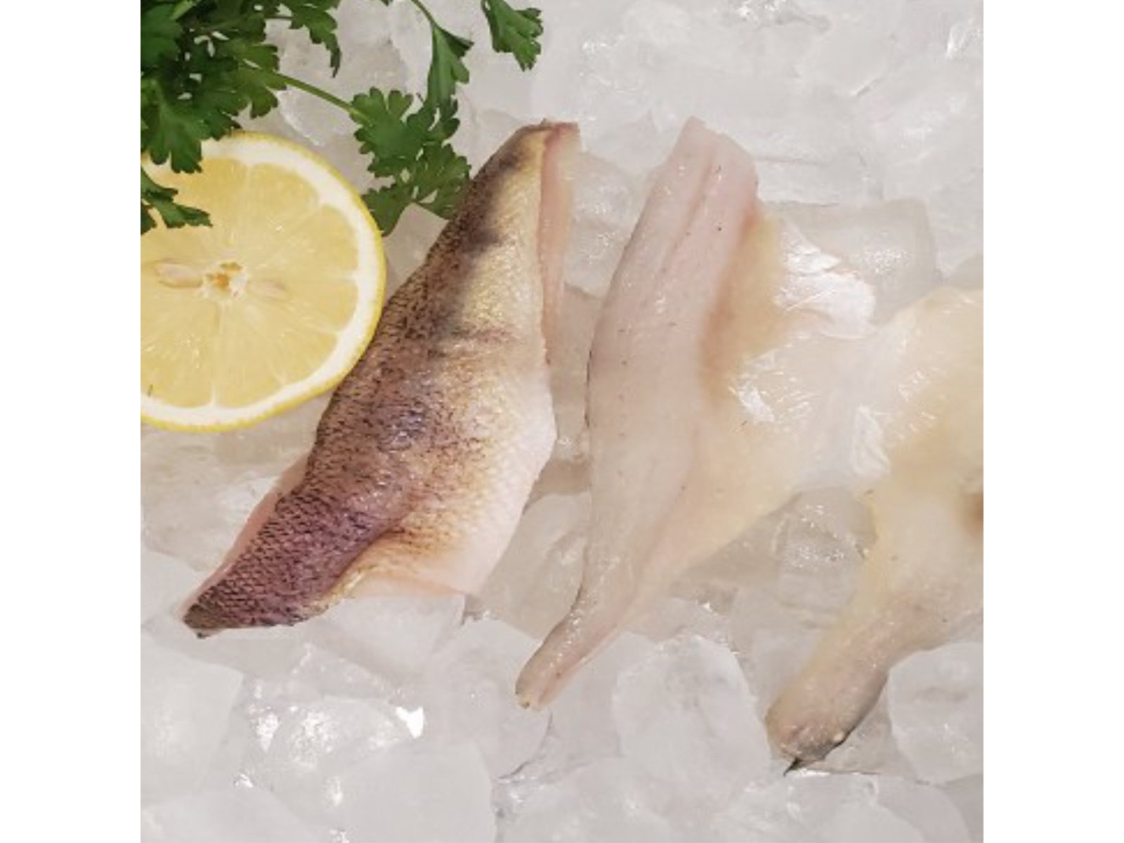 Out of the Blue // Seafood Market // Bayfield, Ontario // Fresh Yellow Perch