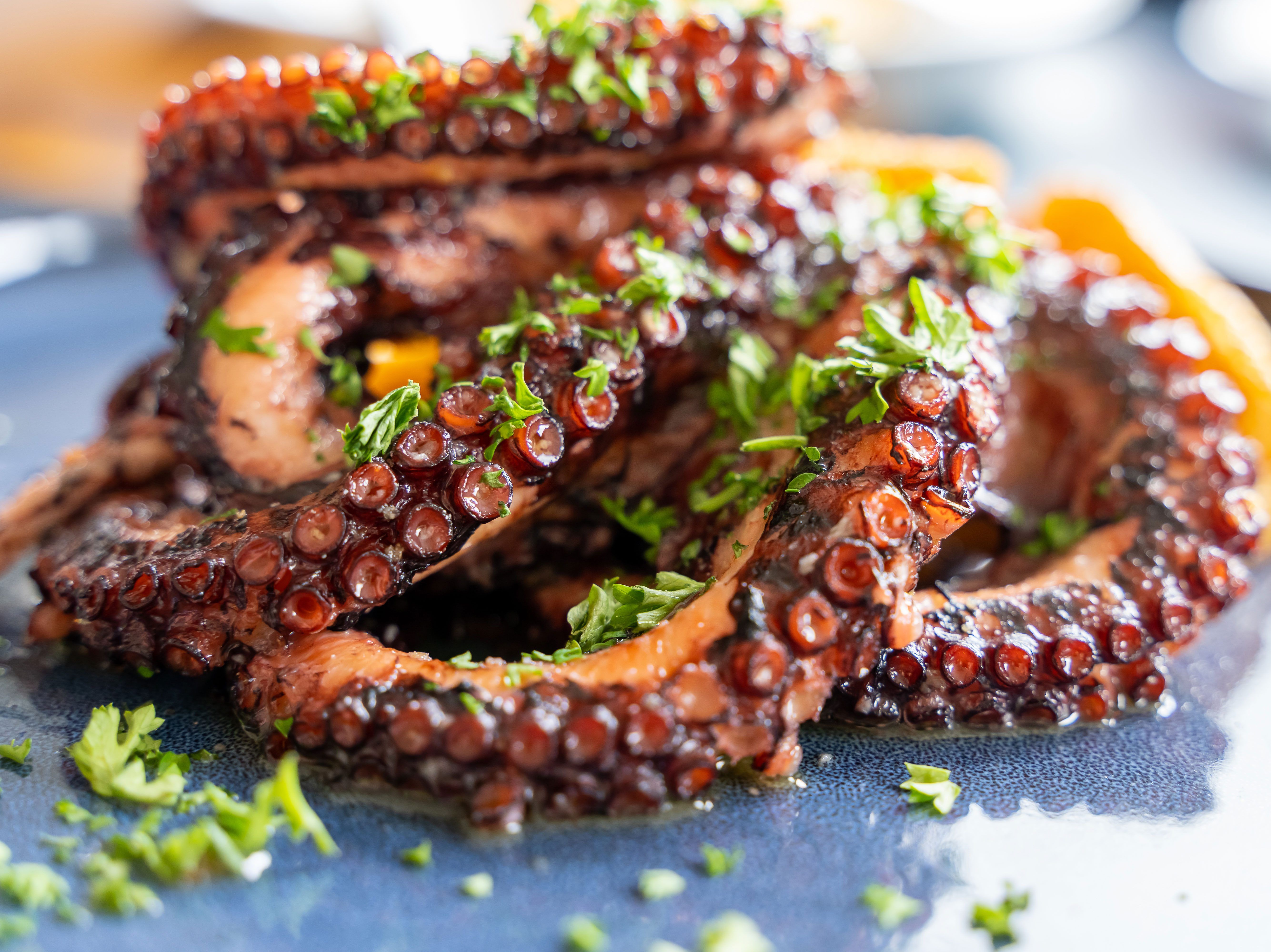 Grilled Octopus (Half  Tray).
