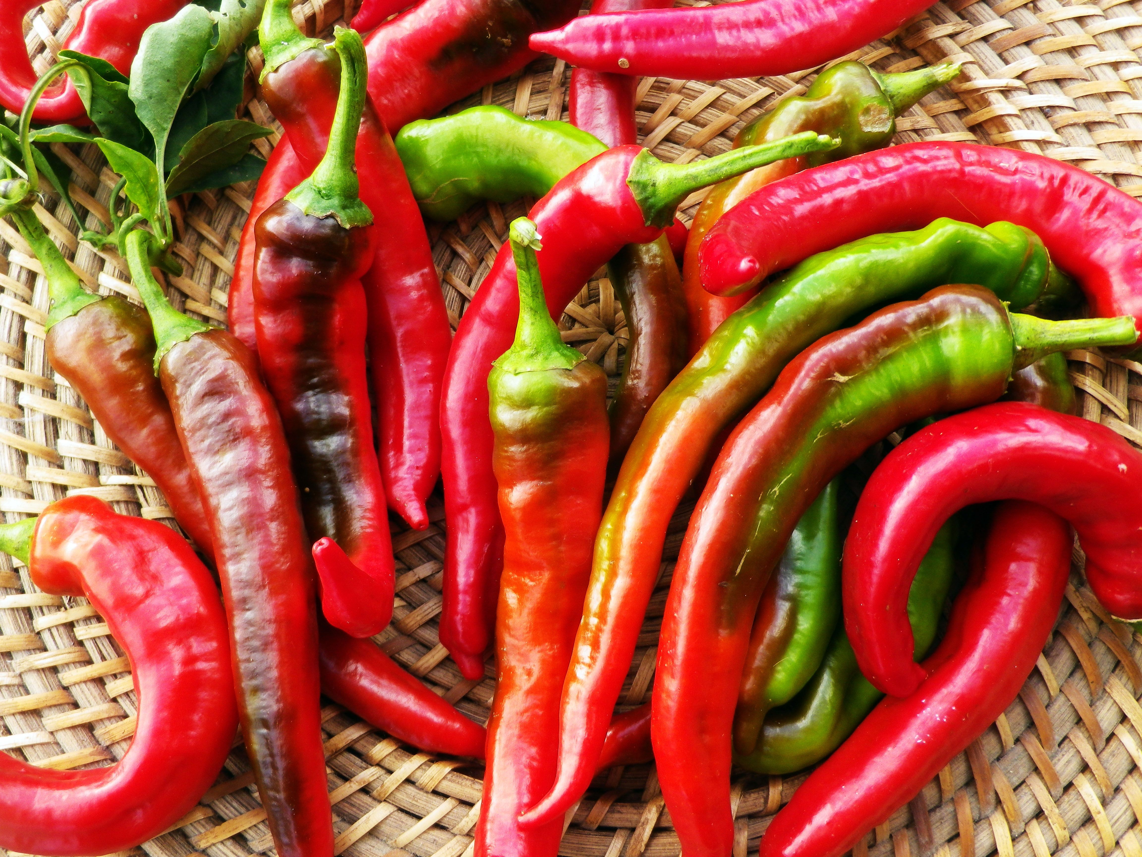 Seed - Sweet Pepper, Jimmy Nardello's Italian