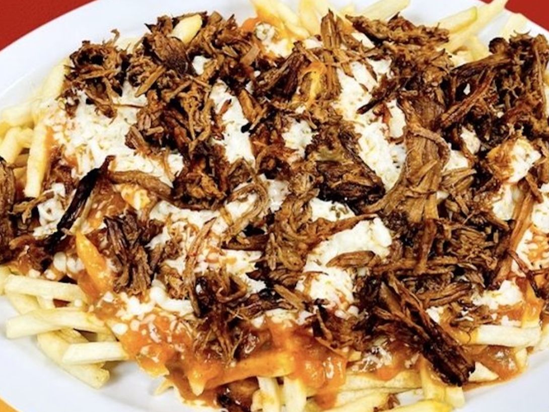 Birria fries Sm.