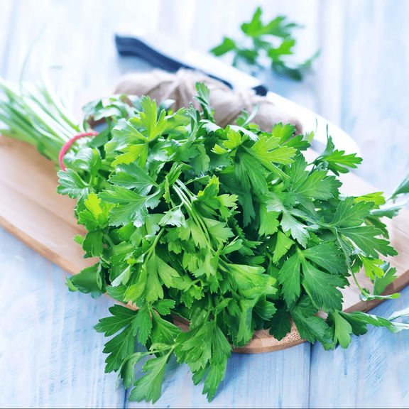 Parsley small bundle