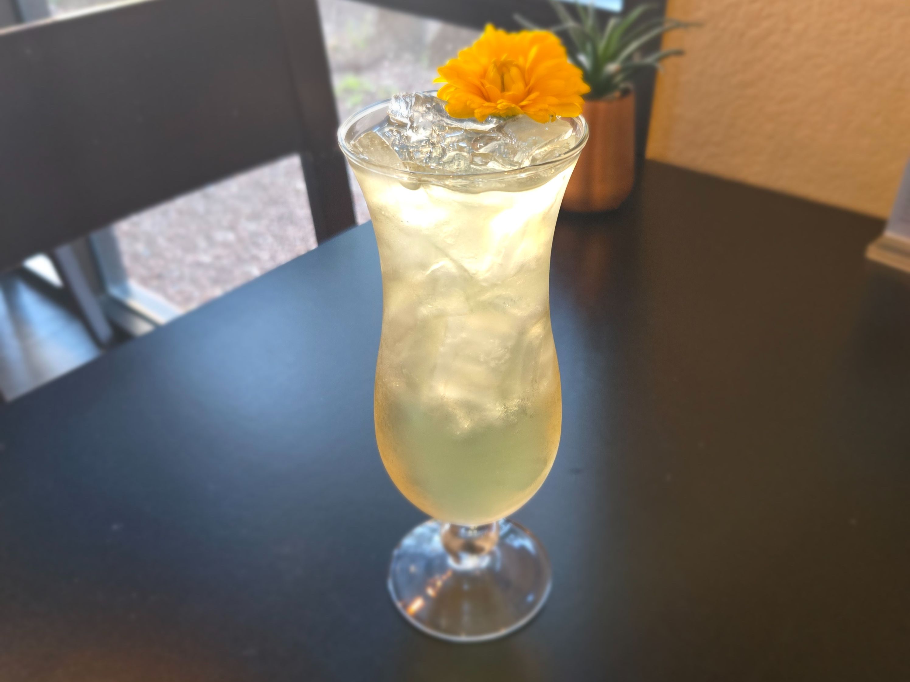 Chrysanthemum Drink.