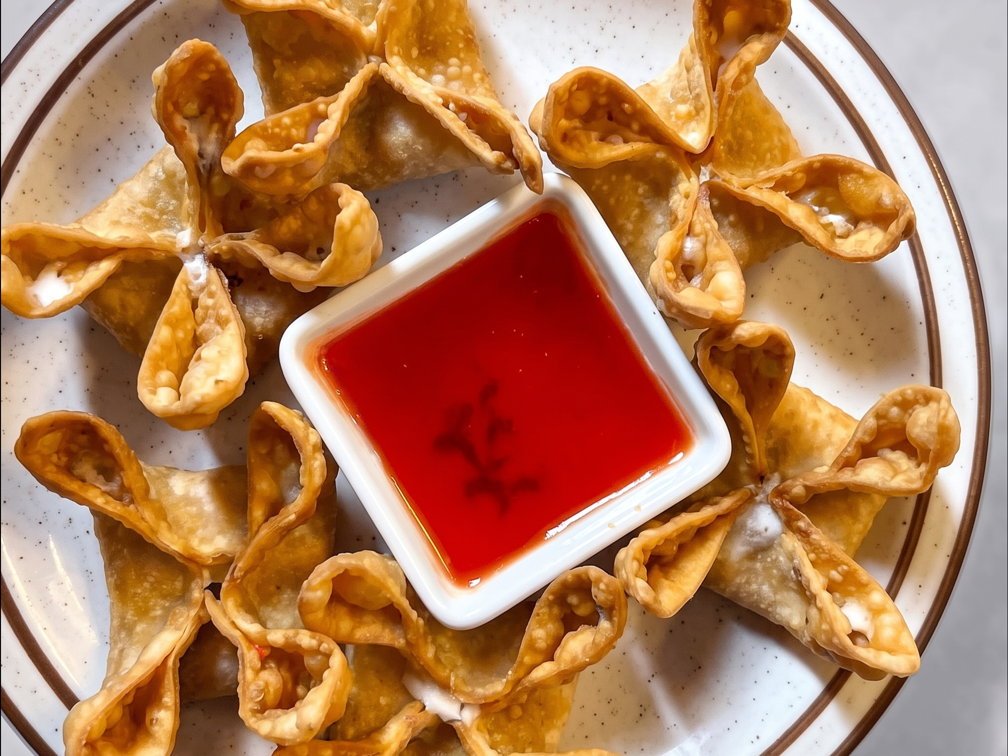 A7 FRIED WONTONS.