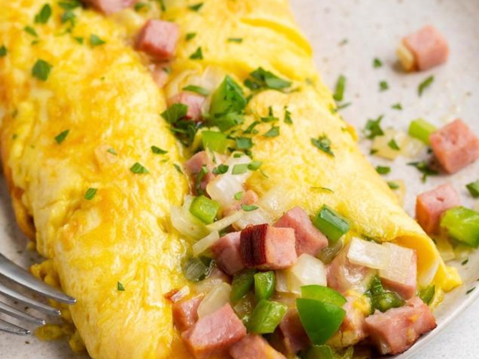 Meaty & Cheesy Omelet.