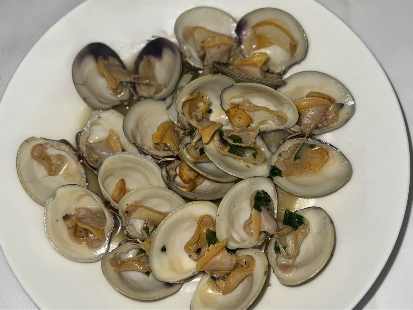 Clams Posillipo (12).