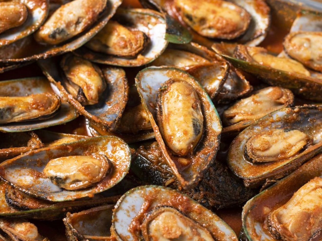 1LB Green Mussels