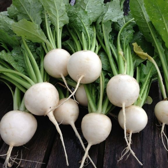 Turnips Salad pound
